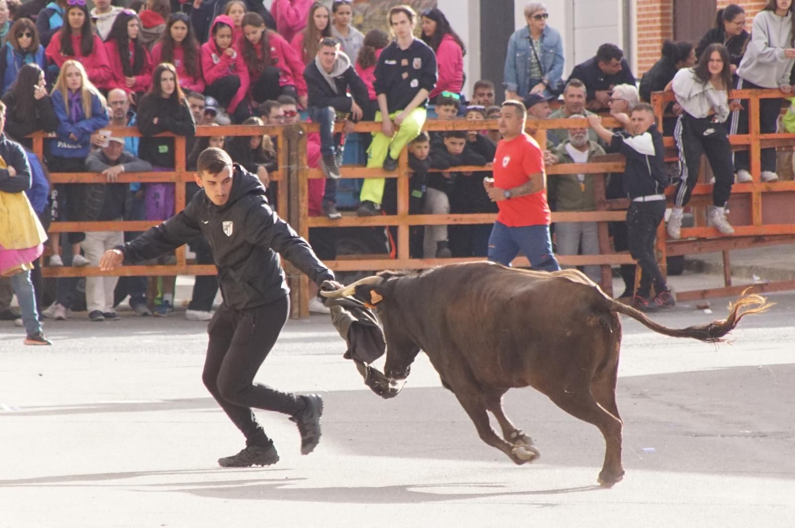 whatsapp-image-2024-09-08-at-14-04-57-3