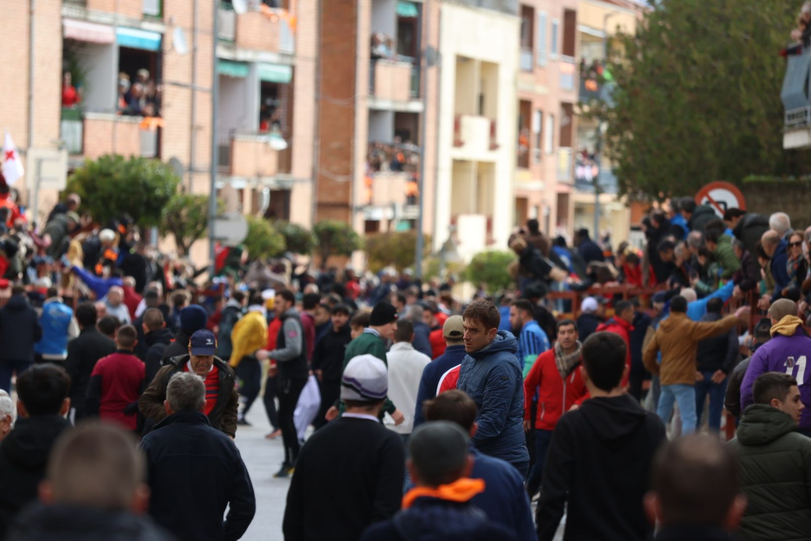 Encierro del lunes de Carnaval en Ciudad Rodrigo, toros de Fermín Bohórquez
