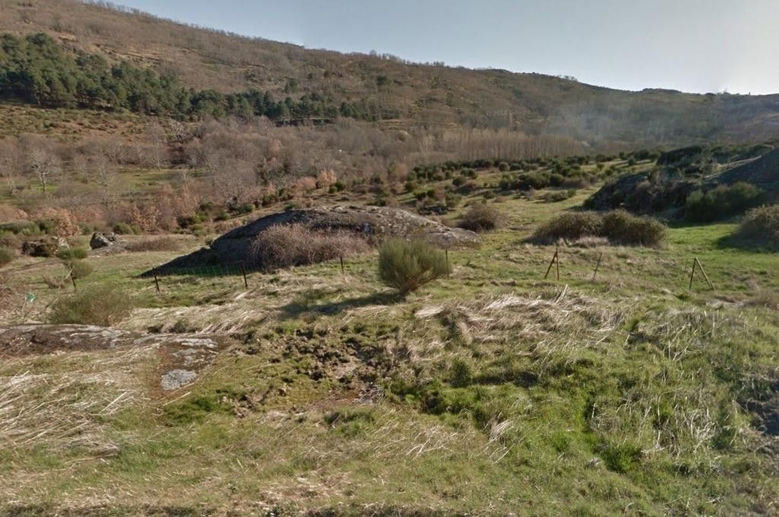 Montes, campo