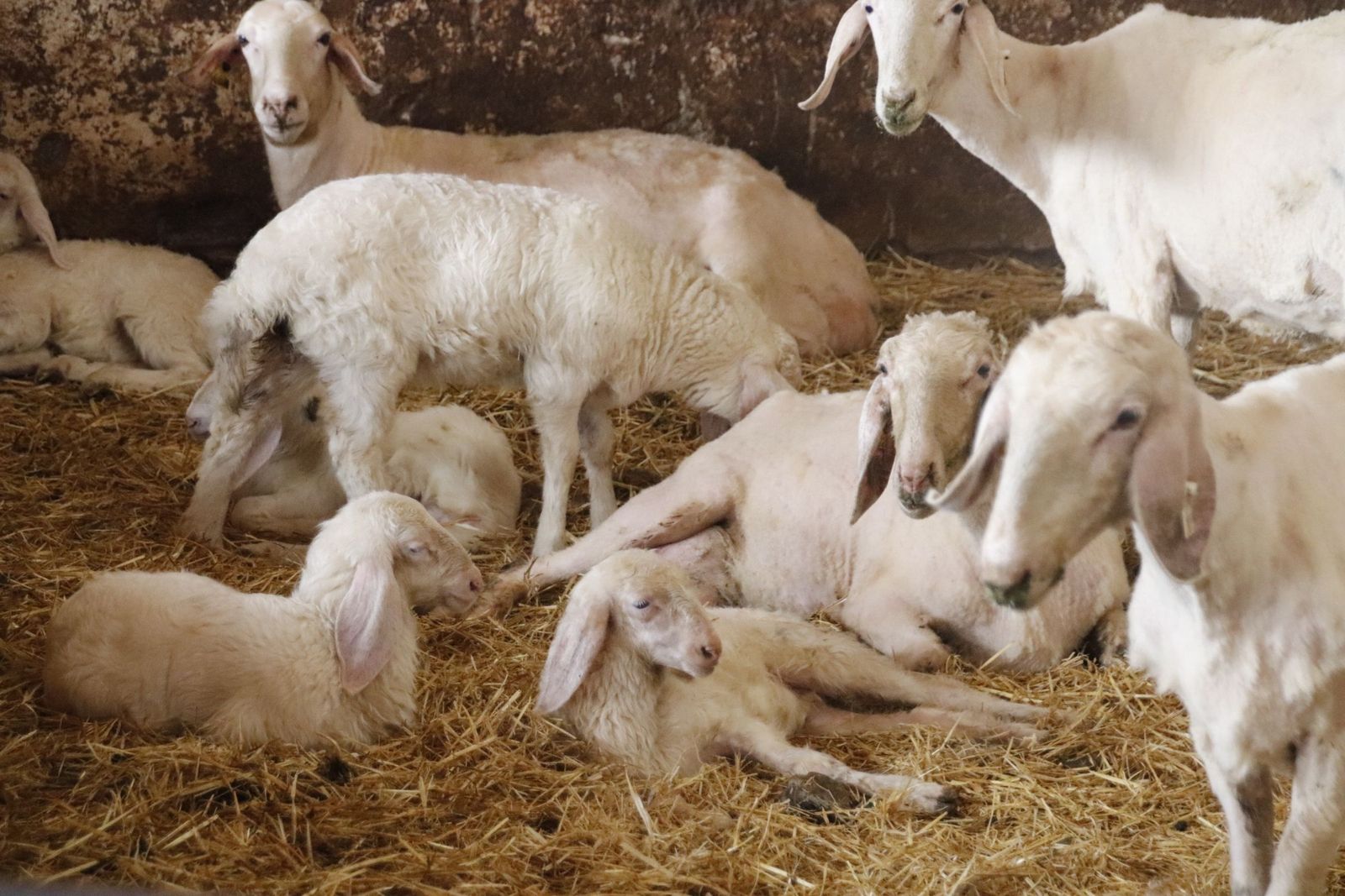 20220520102547-mg-8461