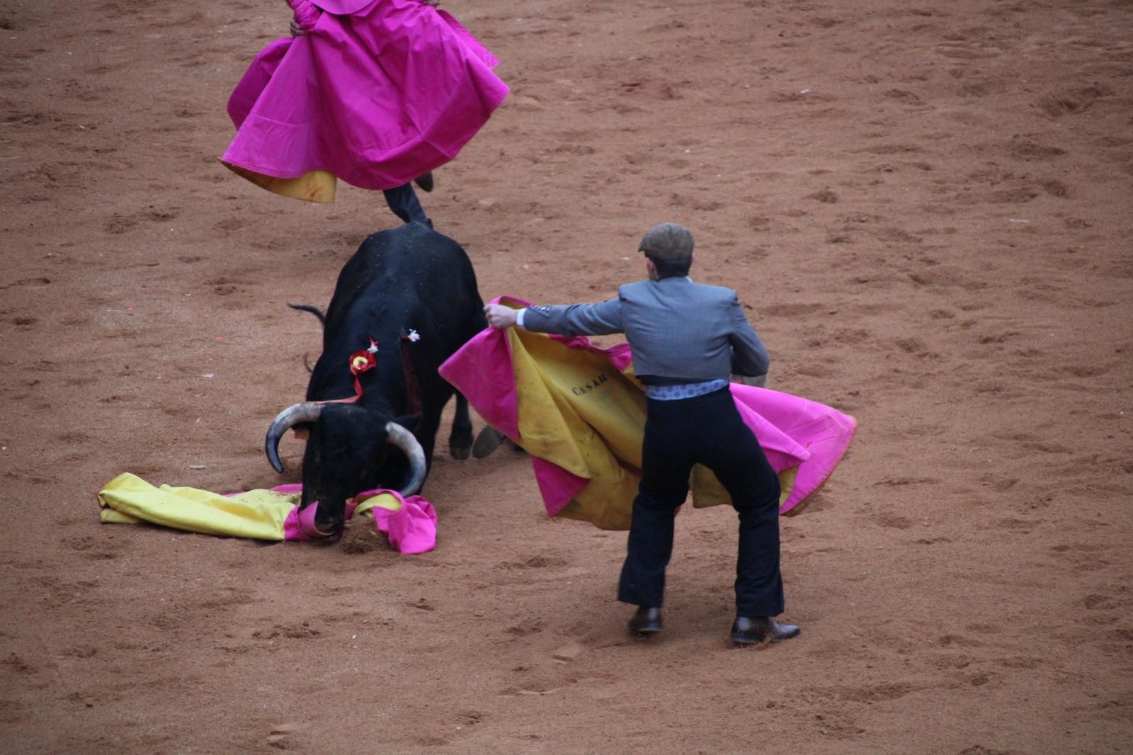 whatsapp-image-2025-03-02-at-18-55-56