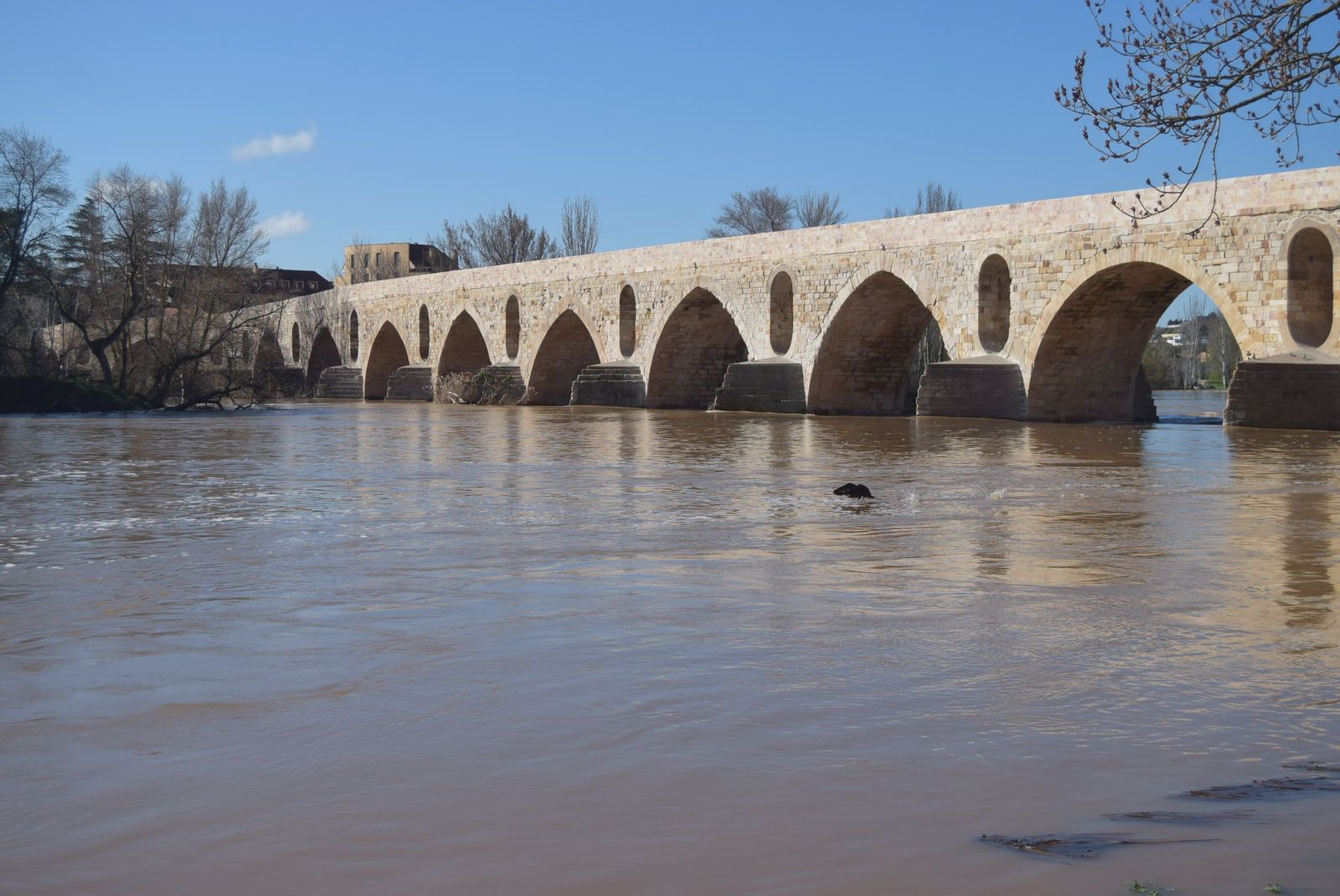Puente de Piedra Zamora