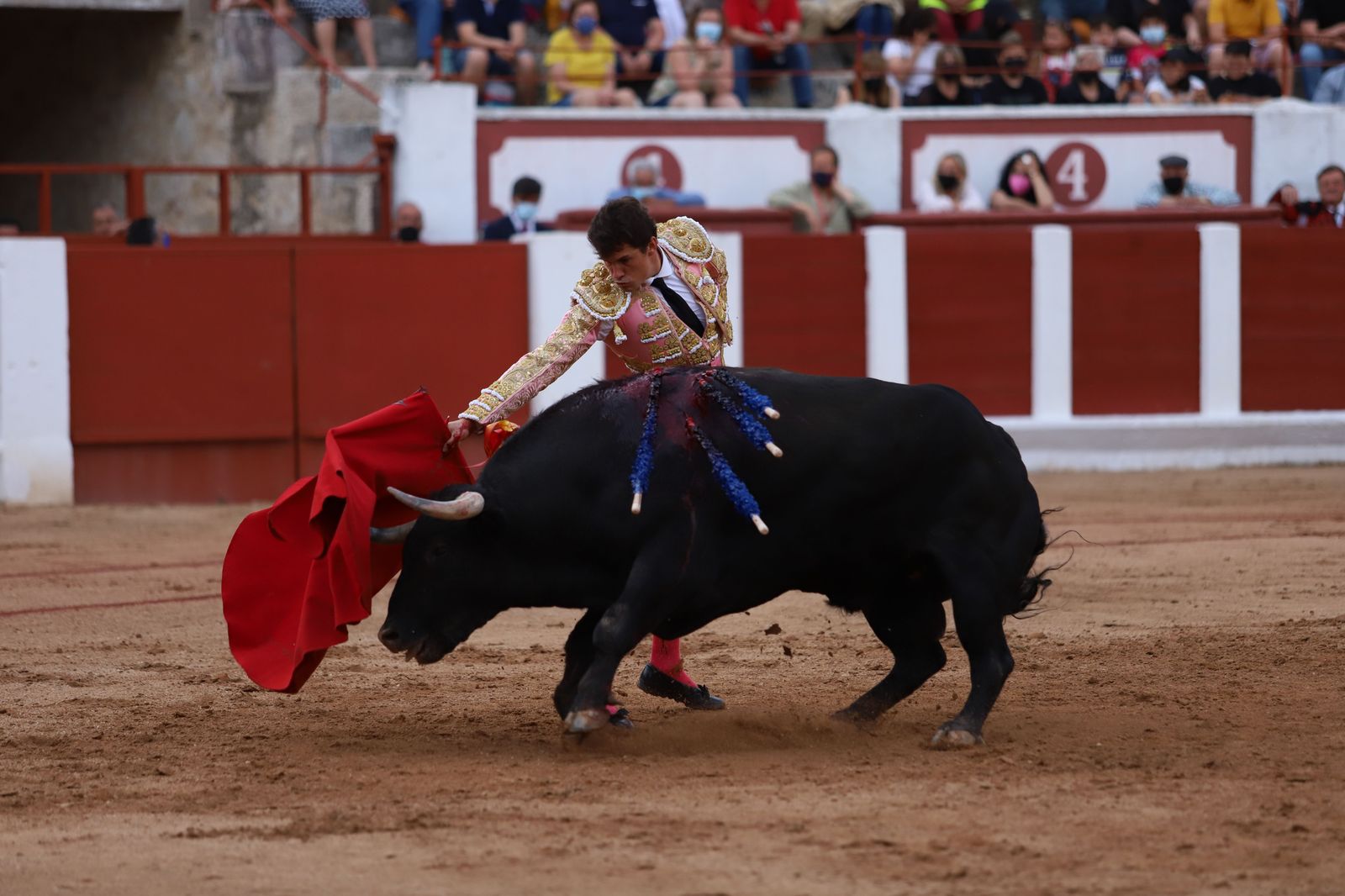 roca-rey-pablo-aguado-y-daniel-luque-en-zamora-66