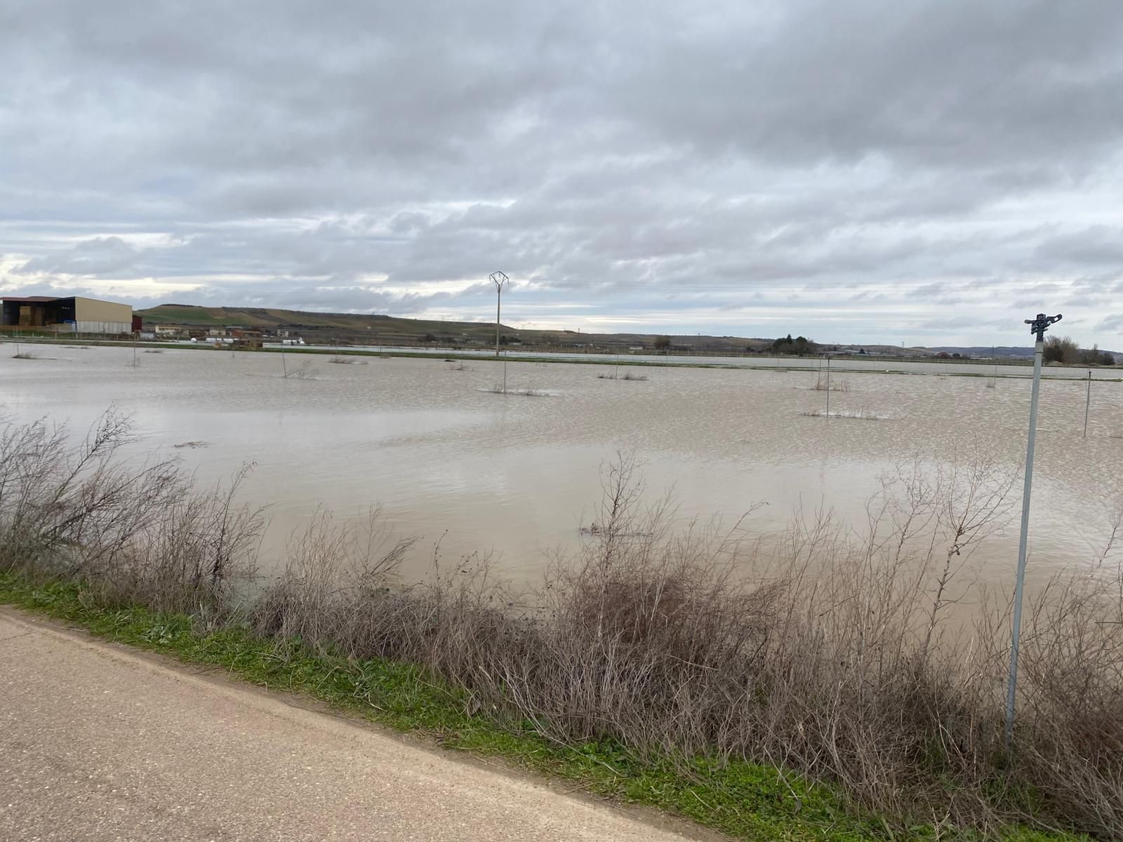 El Duero inunda tierras en la zona de La Rinconada