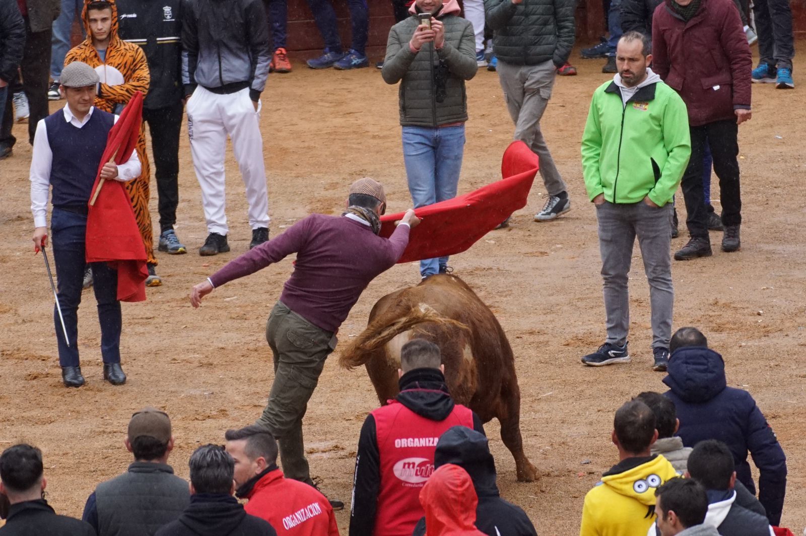 whatsapp-image-2024-02-11-at-14-02-45-1