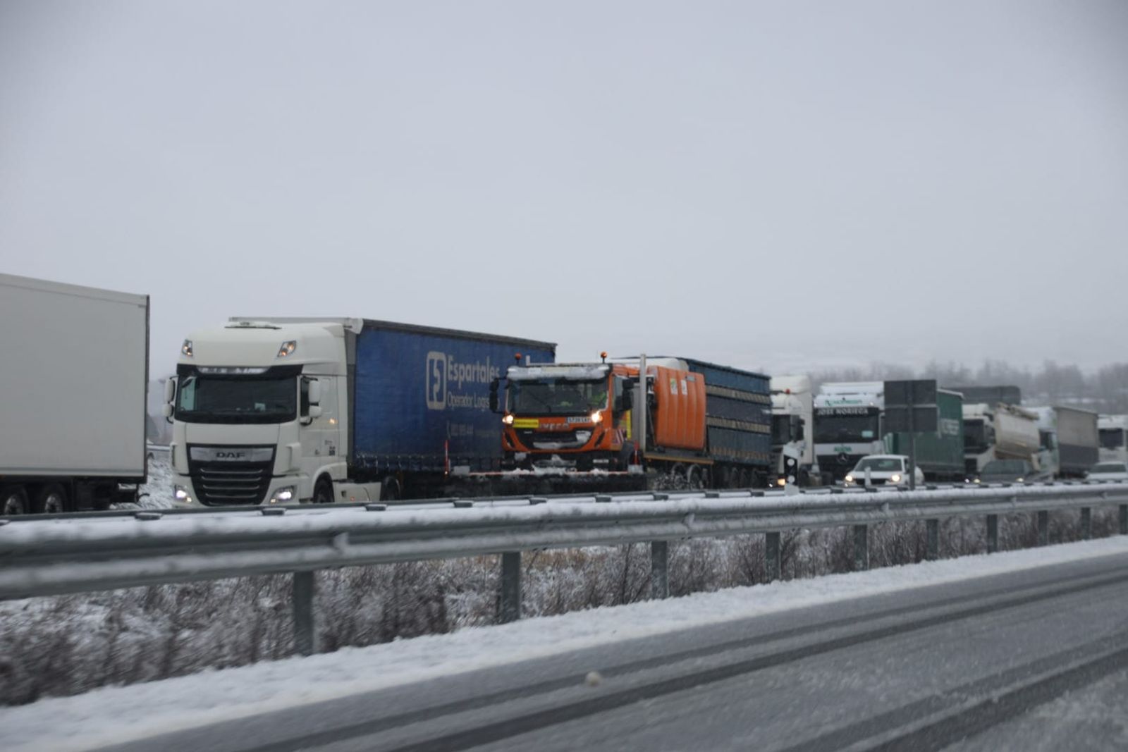 whatsapp-image-2024-01-19-at-16-57-18-2