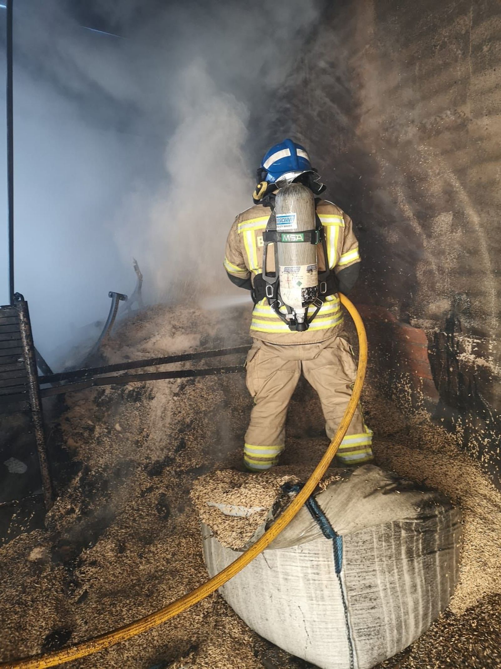 Bomberos toro guarrate