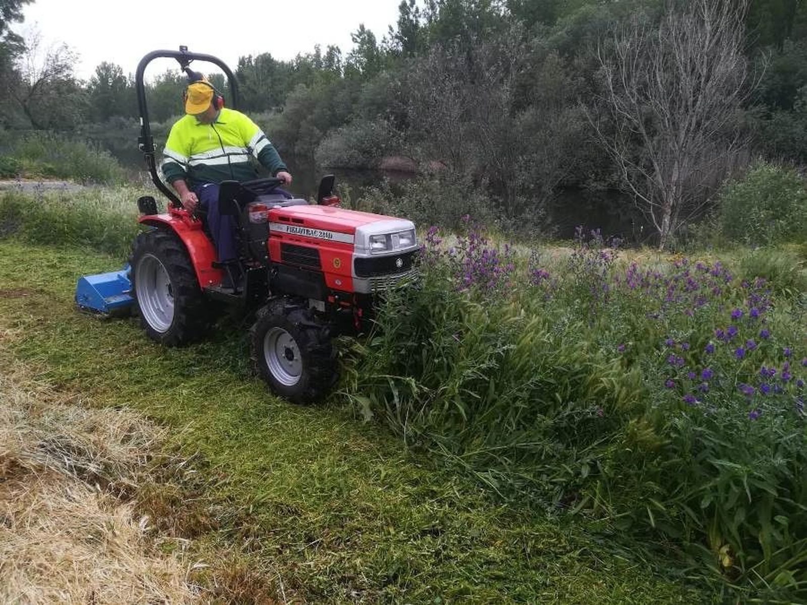 Limpieza solares santa marta
