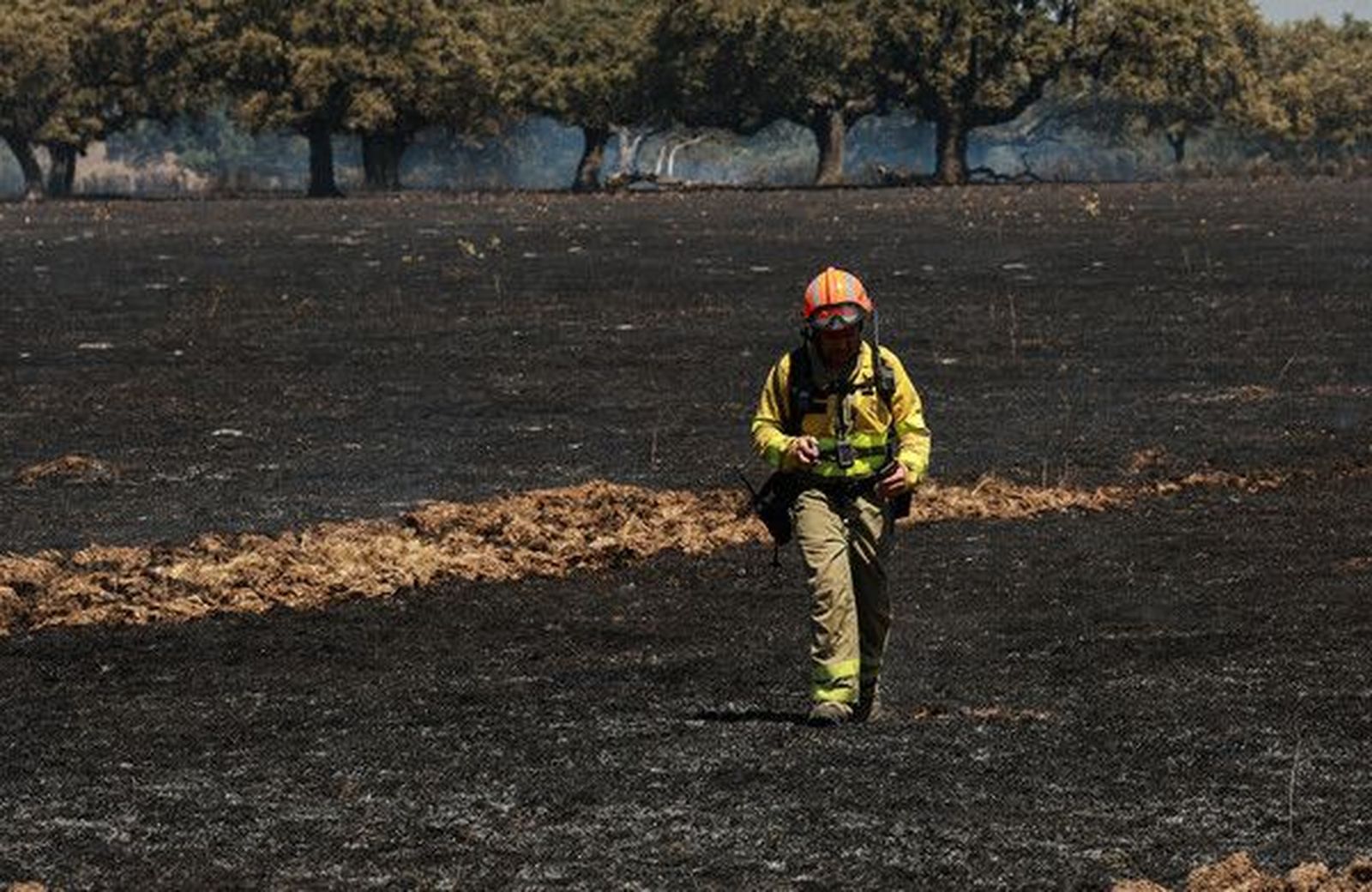 galeria-incendio-forestal-intencionado-en-campillo-de-azaba-fotos-jose-vicente-ical-2