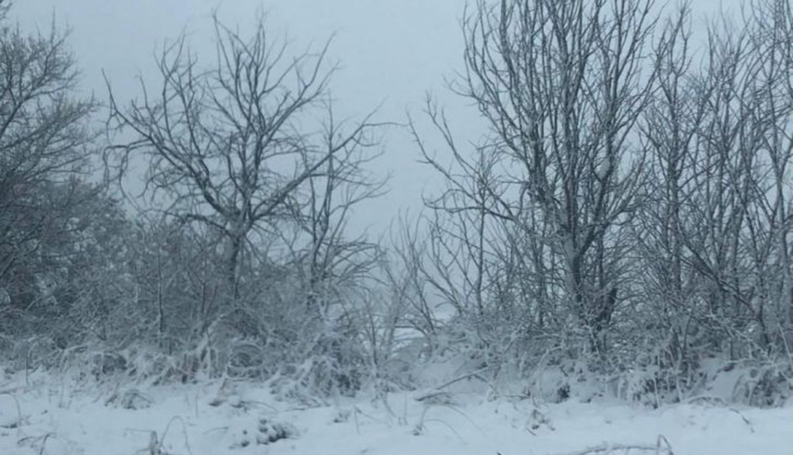 WhatsApp Image 2022 04 20 at 10.48.12 AM