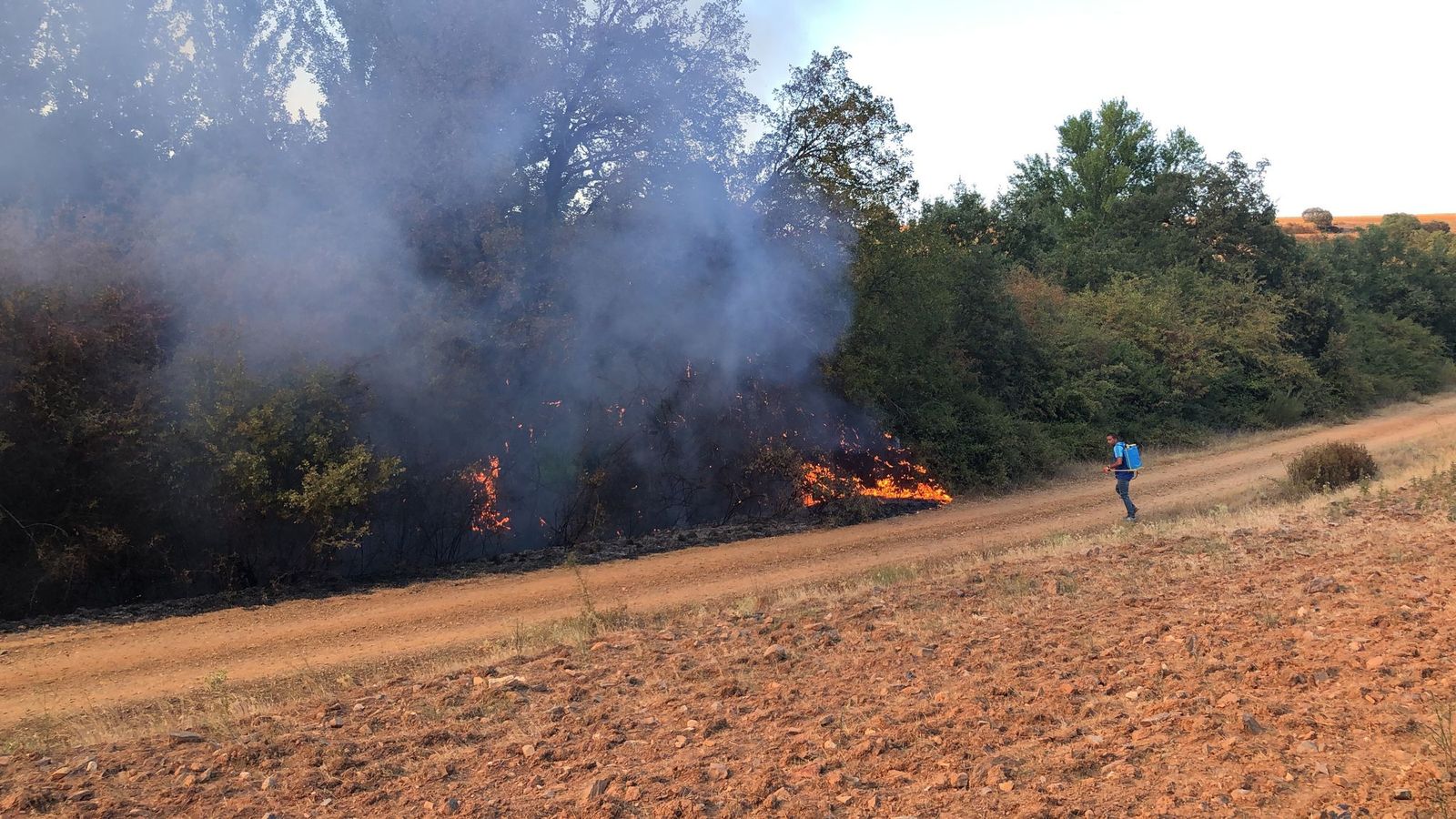 Incendio de Carbajales de Alba