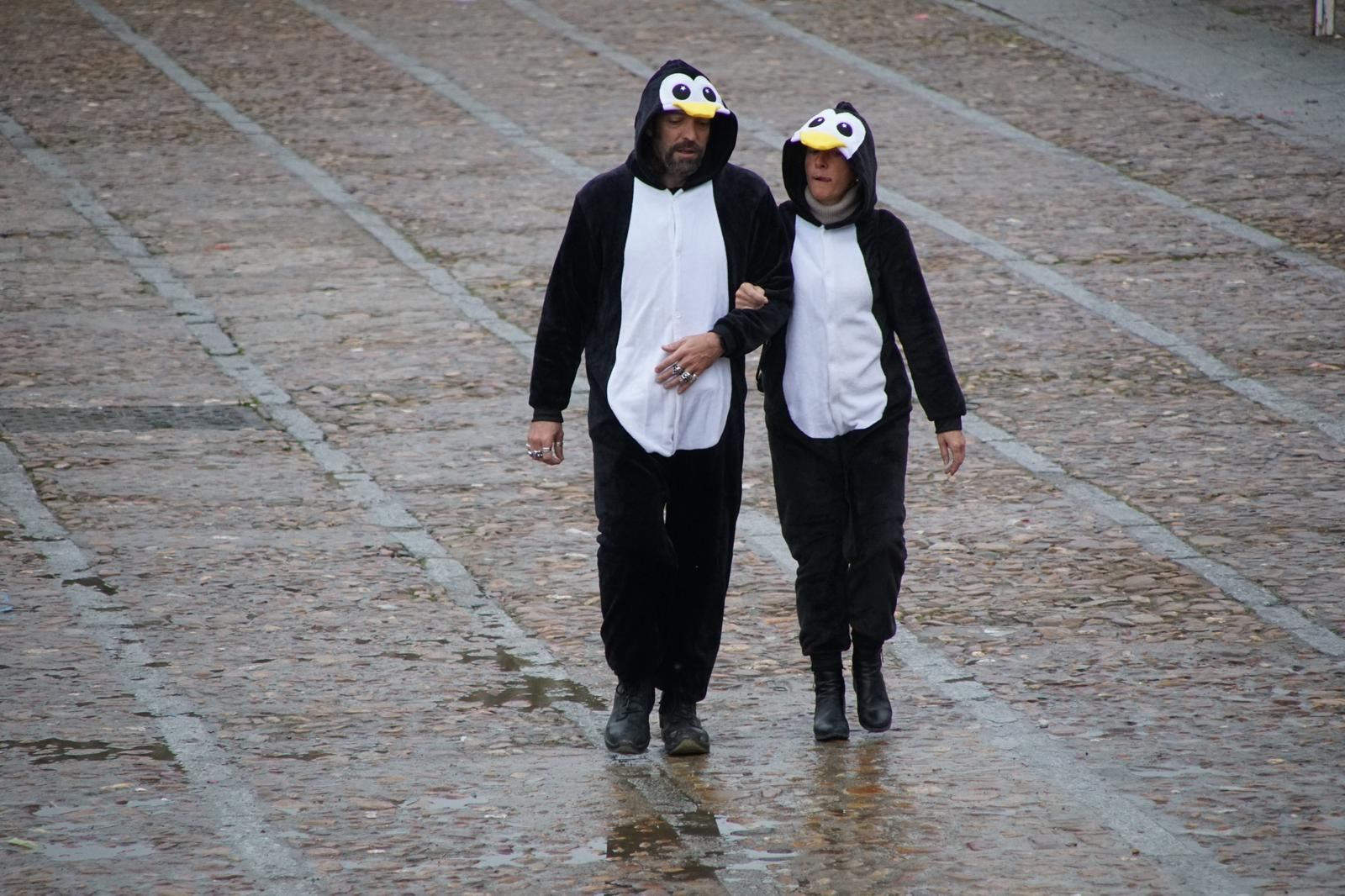 ambiente-encierro-urbano-lunes-de-carnaval-en-ciudad-rodrigo-12-de-febrero-de-2024-fotos-s24h-72