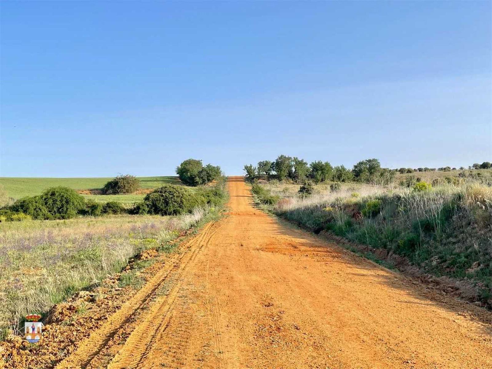 Camino rural. Archivo