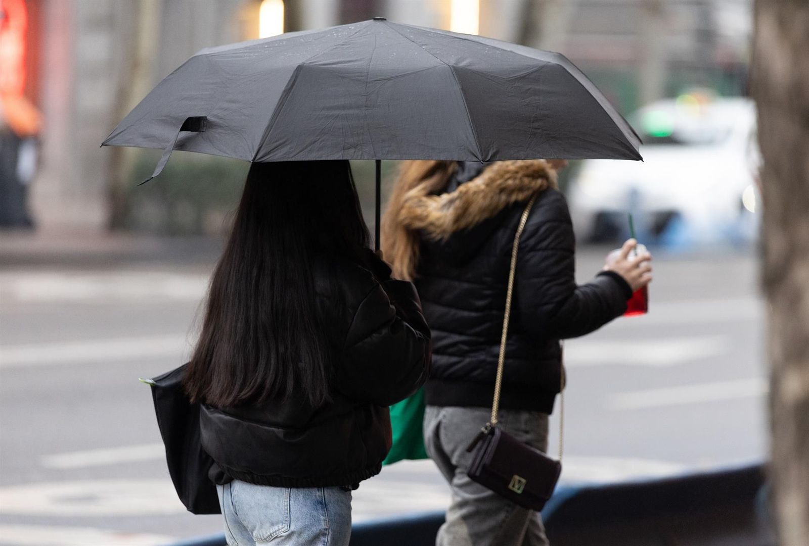 Archivo - Personas con paraguas bajo la lluvia durante la llegada de la borrasca ‘Garoé’, a 20 de enero de 2025, en Madrid (España). - Eduardo Parra - Europa Press - Archivo