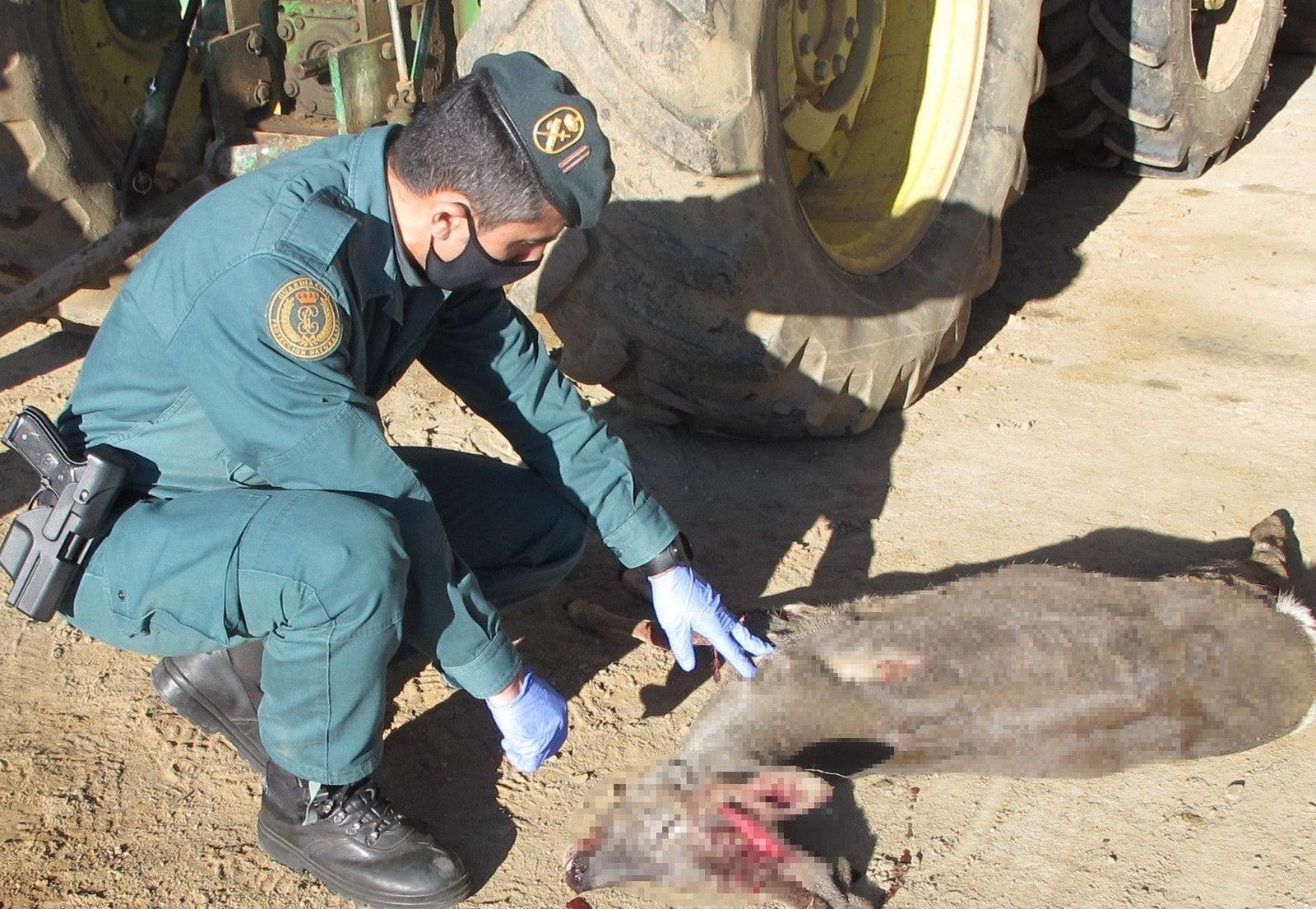 (20210118 Caza Ilegal Corzo Villalazán)