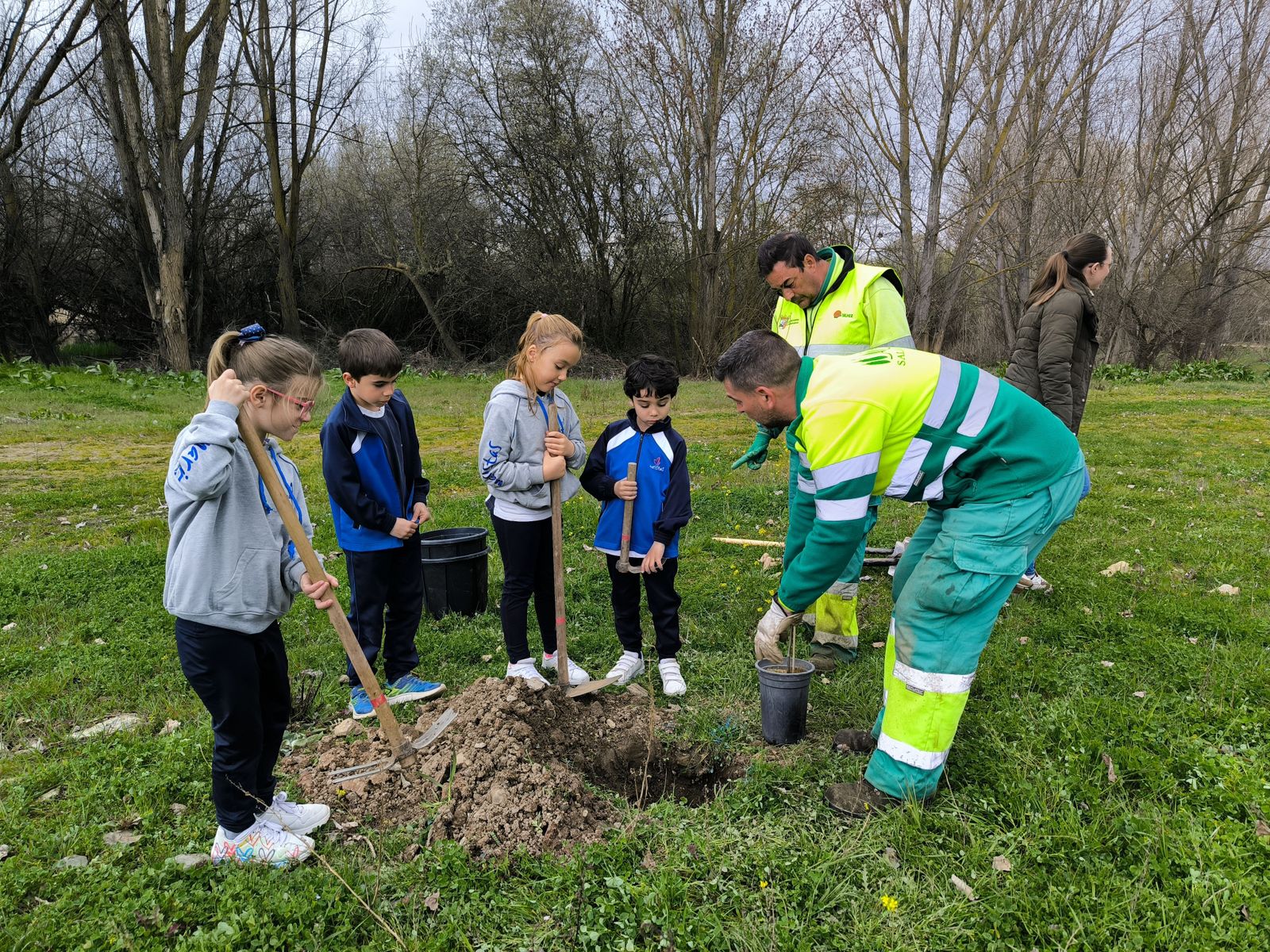 plantacion-arboles-en-huerta-otea