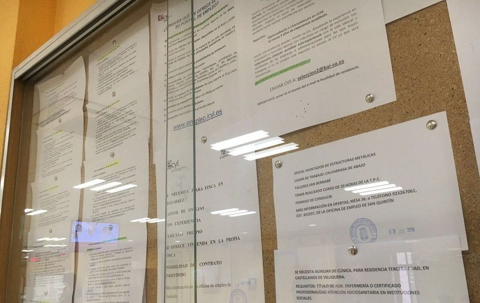 Electrónica, tecnología, sanidad y actividades deportivas son los sectores con más salidas profesionales