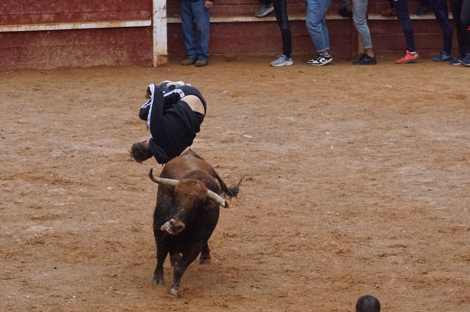 whatsapp-image-2024-02-11-at-14-01-52