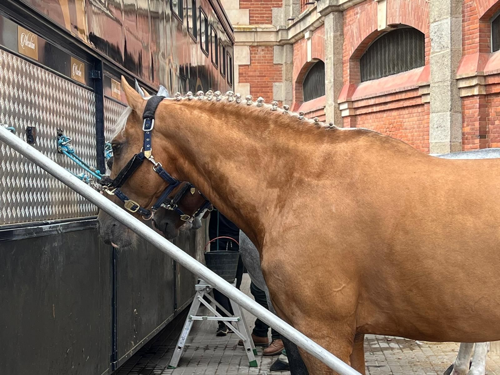 whatsapp-image-2023-09-09-at-12-43-14