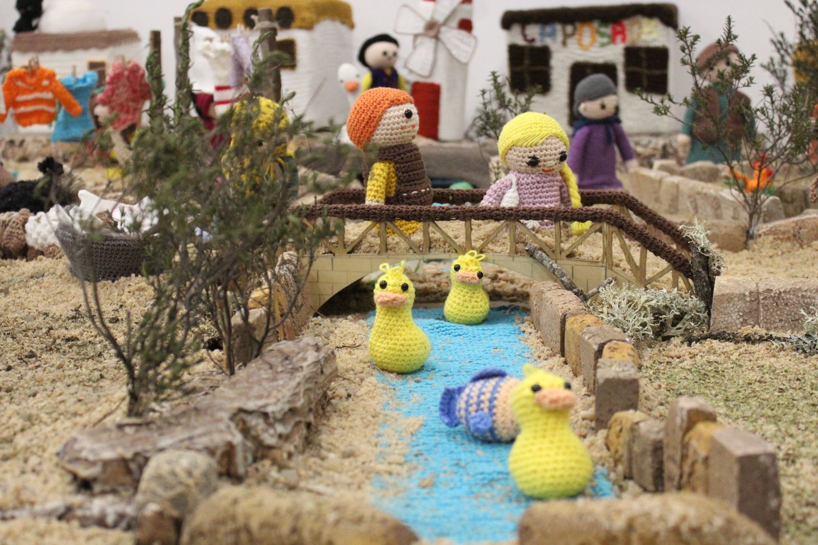 20231205185742-img-6596