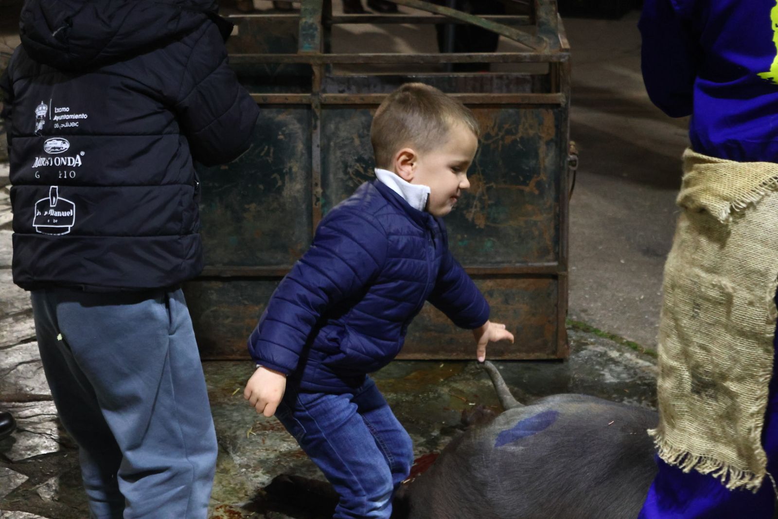 Matanza nocturna de Guijuelo dedicada a la hostelería