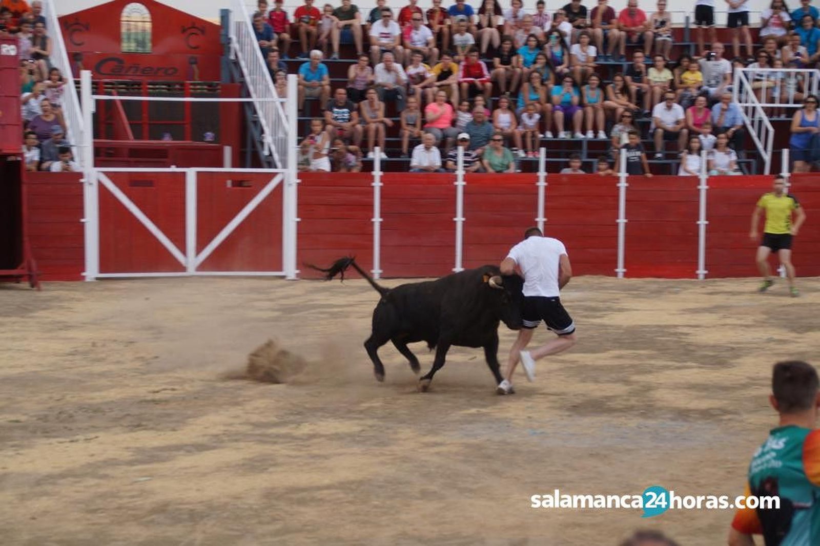 Festejo taurino en villoruela (48)