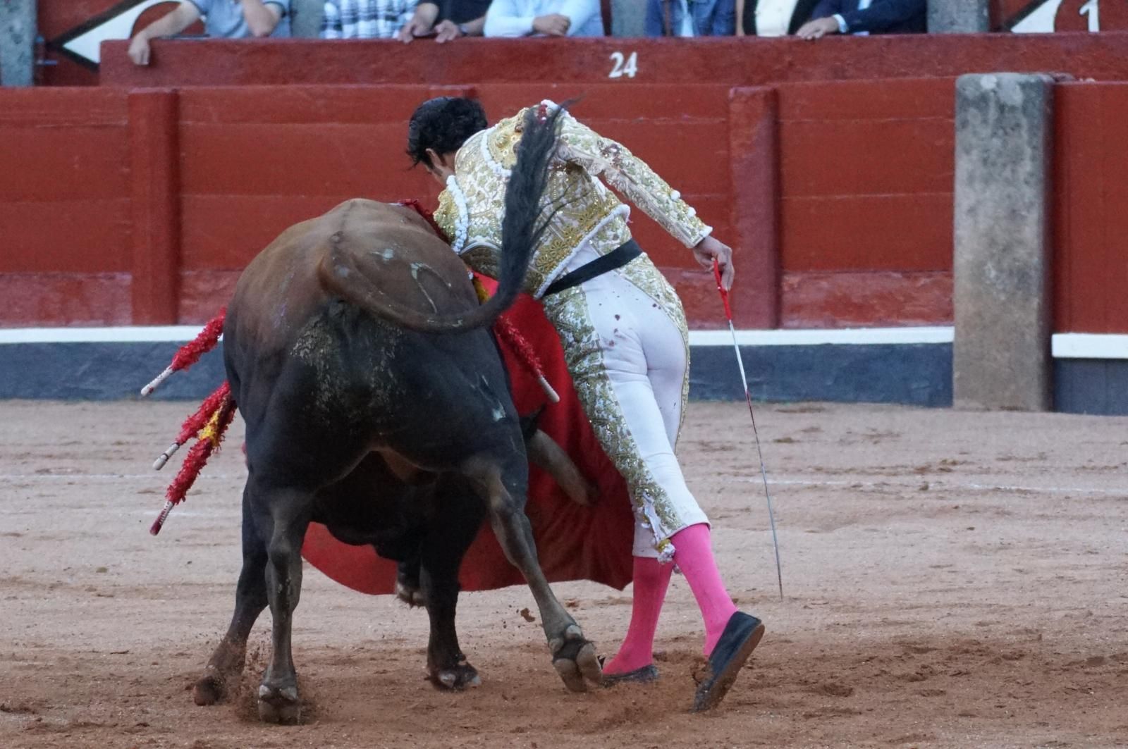 Presencia salmantina por partida doble en la primera corrida de la feria: Damián Castaño e Ismael Martín junto al mexicano Diego San Román