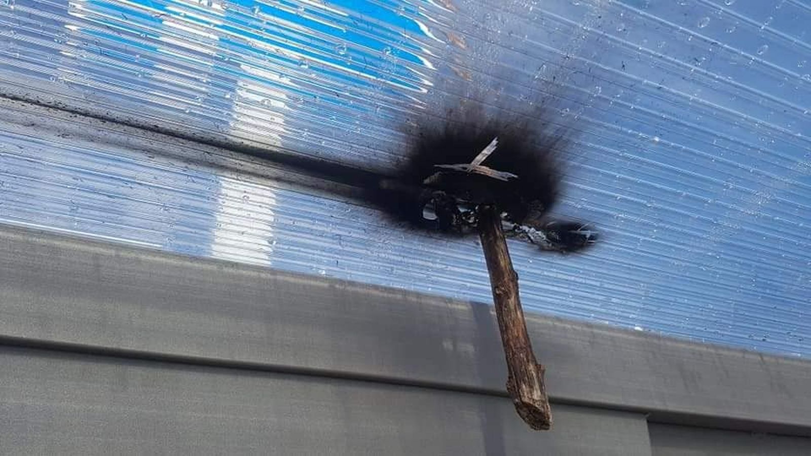 134857118 3590329941047662 3091533426068043086 n