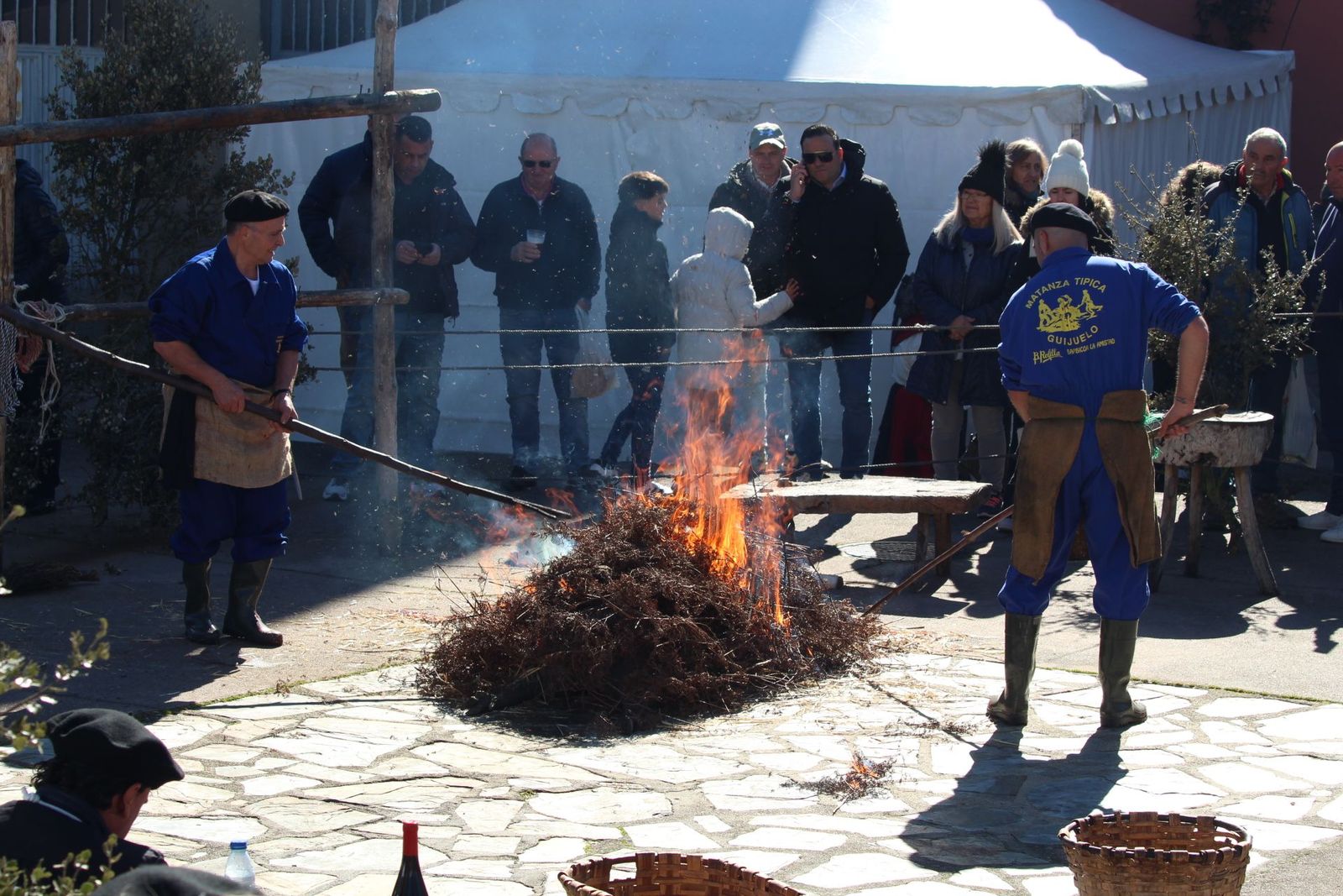 img-0504