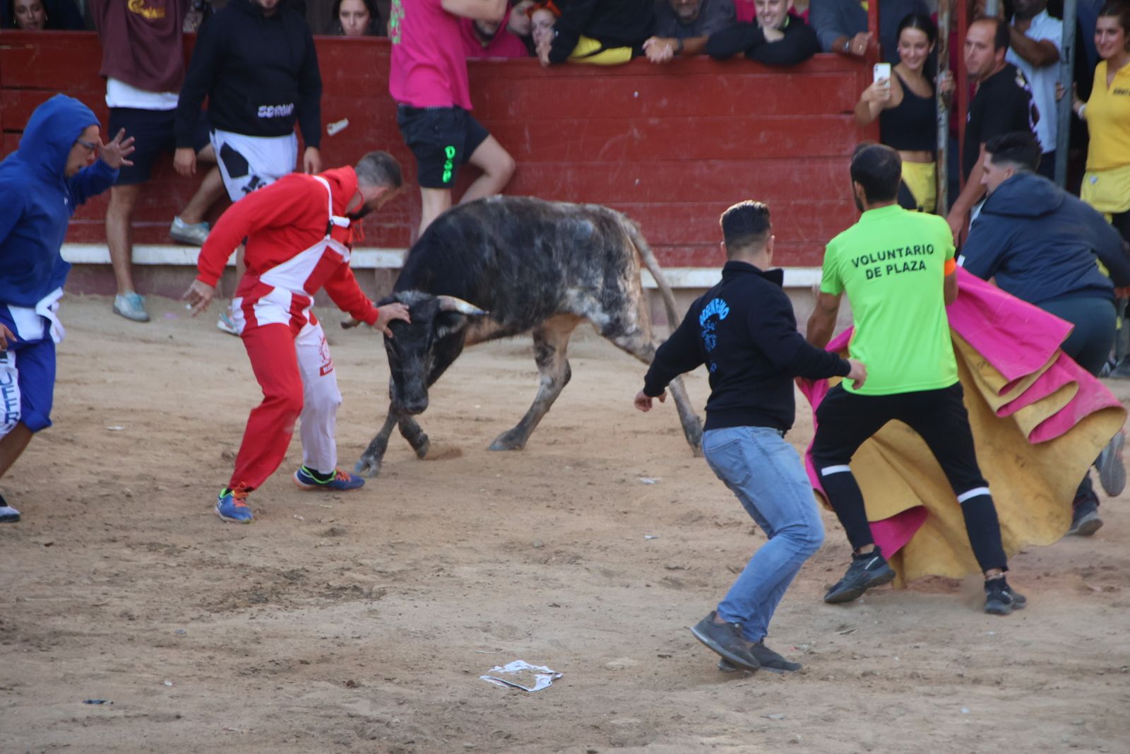 Encierro en Aldeadávila