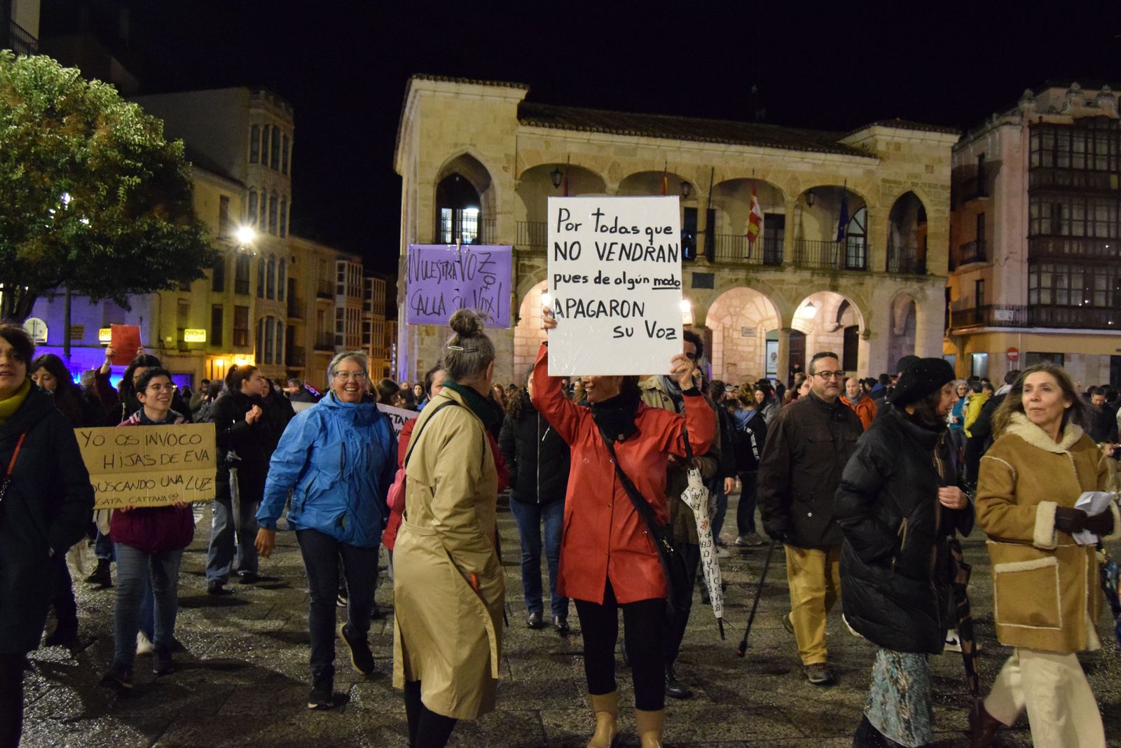 manifestacion-por-el-8m-en-zamora-25