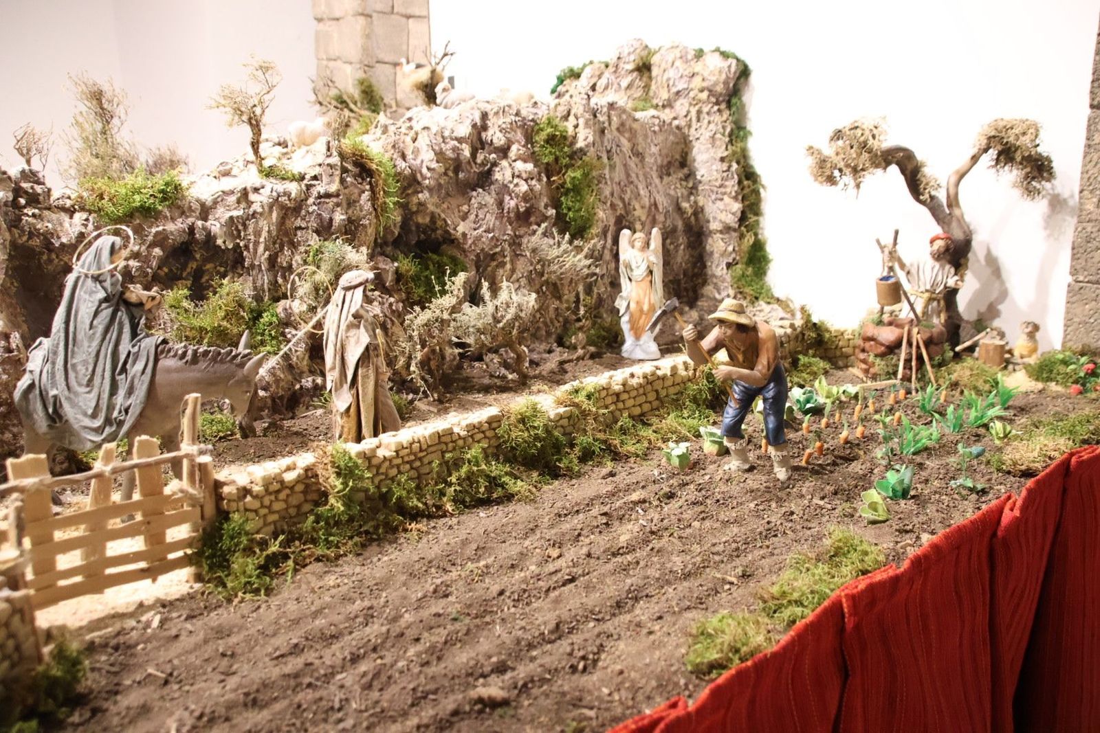 20231201133557-img-5010