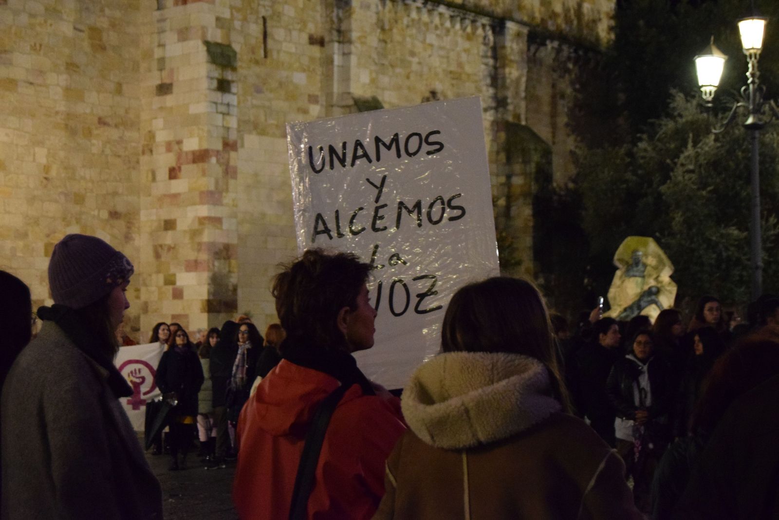 manifestacion-por-el-8m-en-zamora-47