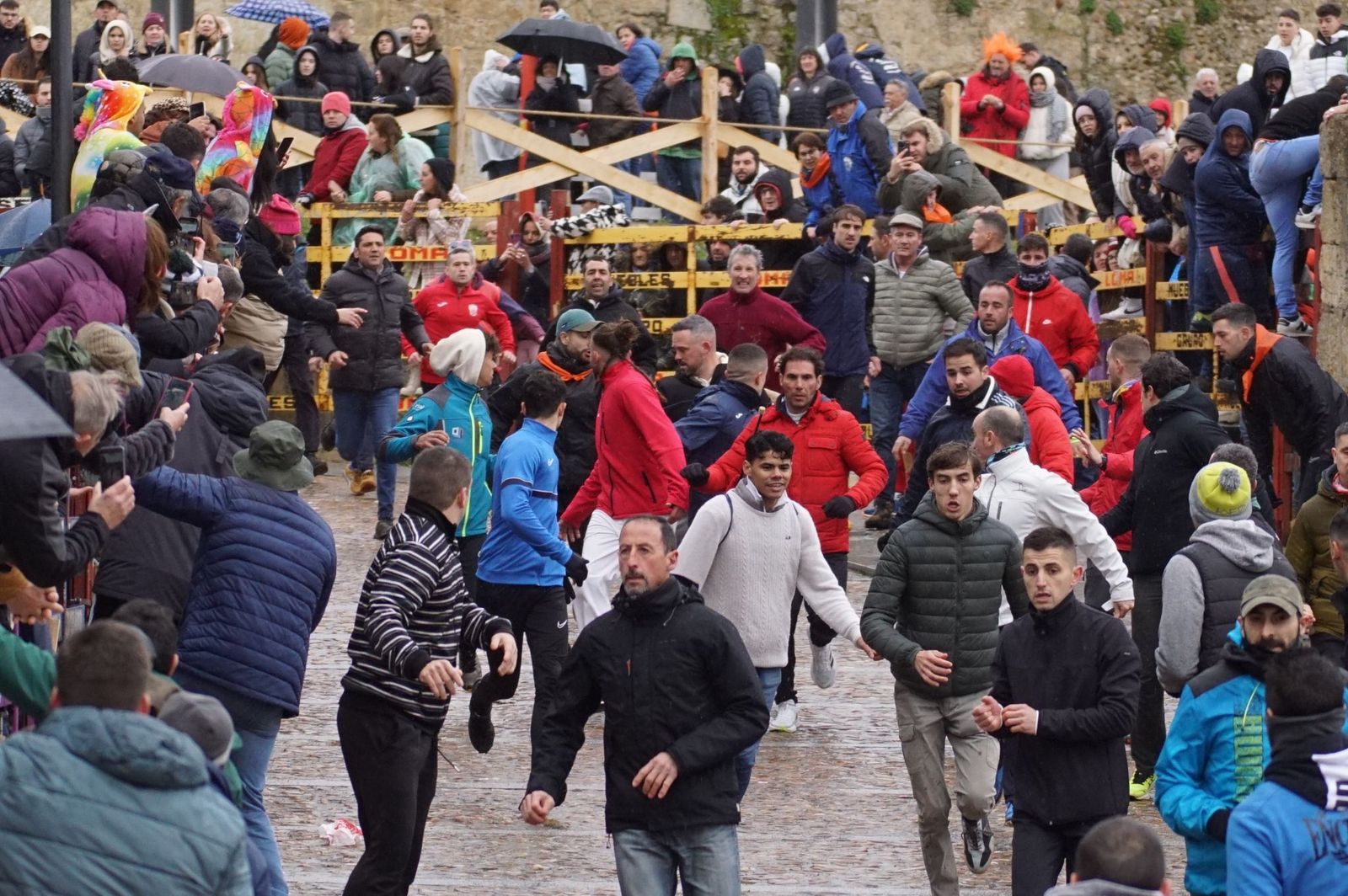 whatsapp-image-2024-02-11-at-14-01-47