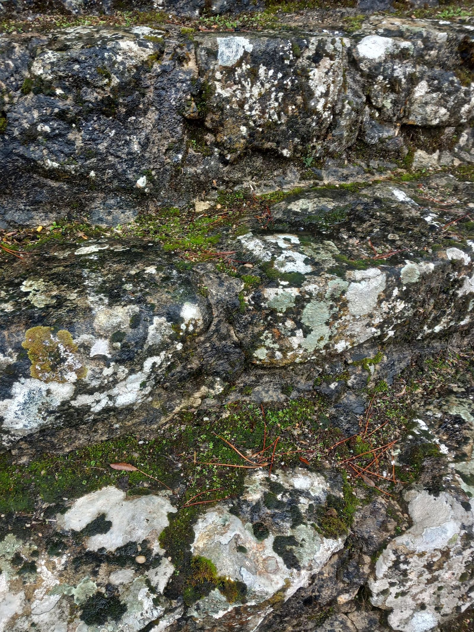 Plaza de Toros La Ancianita de Béjar  (16).jpeg