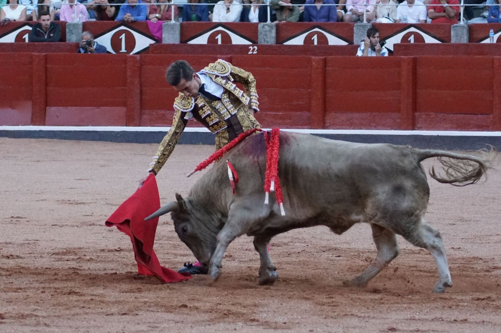 Clase práctica con alumnos de la Escuela de Tauromaquia de Salamanca (Diego Mateos, Noel García y Álvaro Rojo con erales de Esteban Isidro)