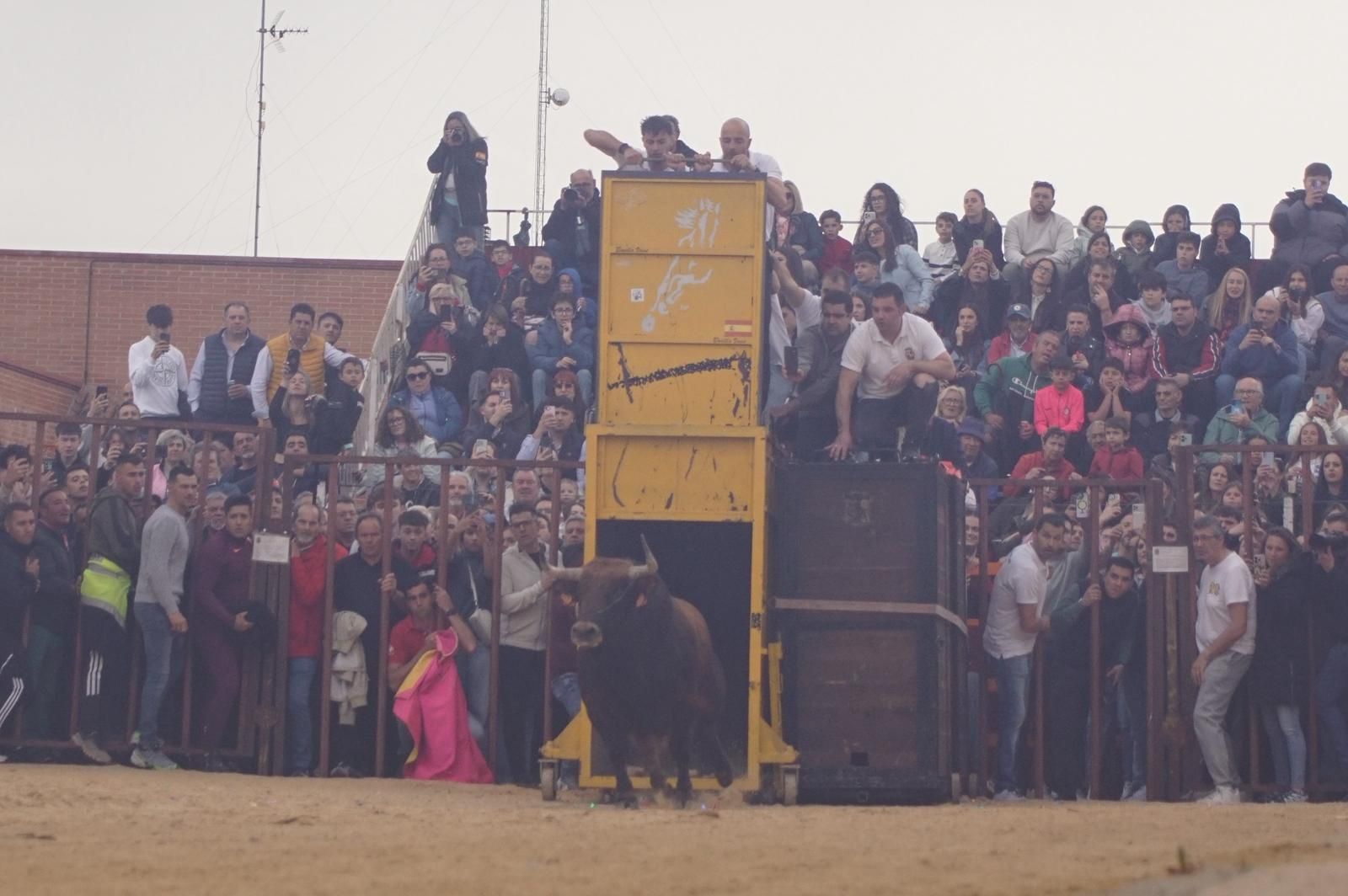 Villoria, toro del Voto