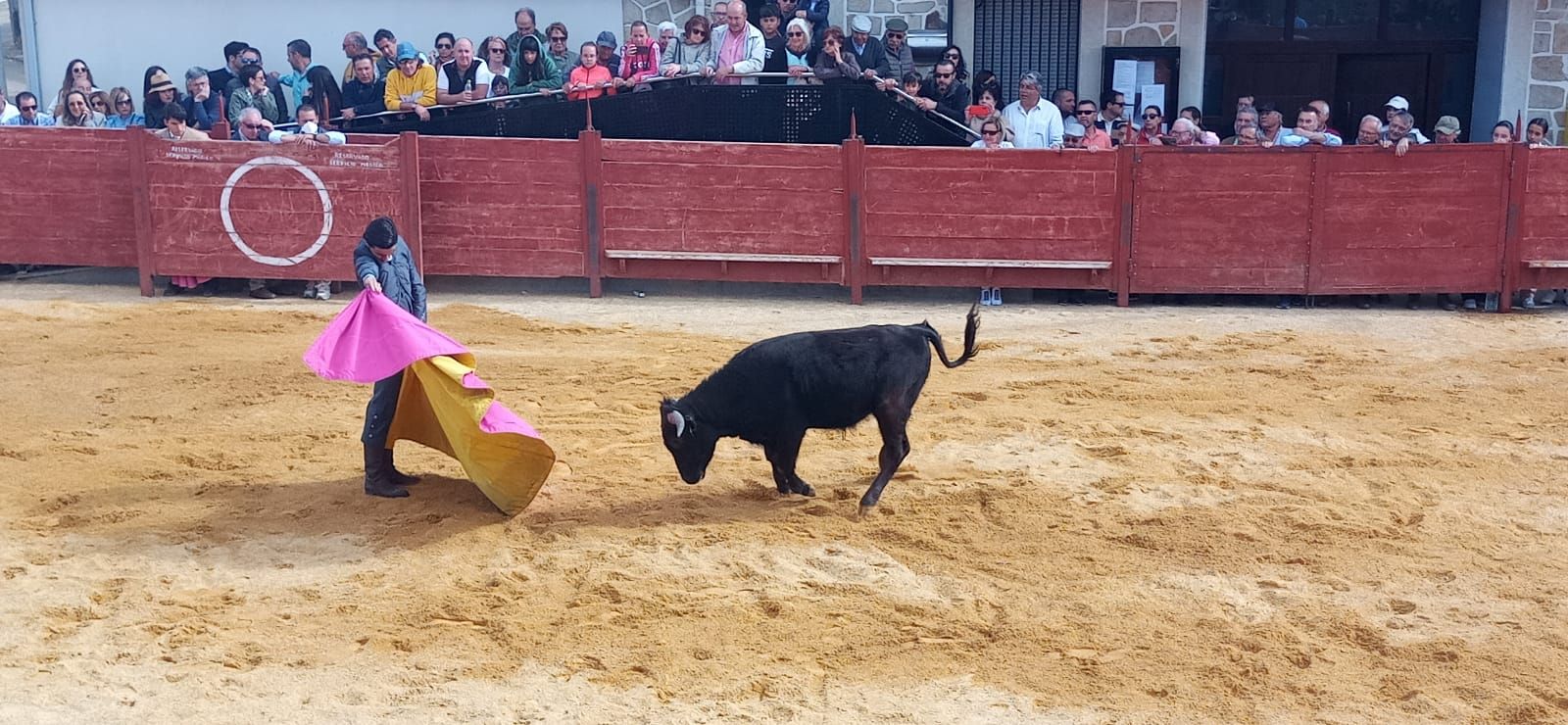 Novillada en Cabrillas a cargo de los alumnos de la Escuela de Tauromaquia de Salamanca