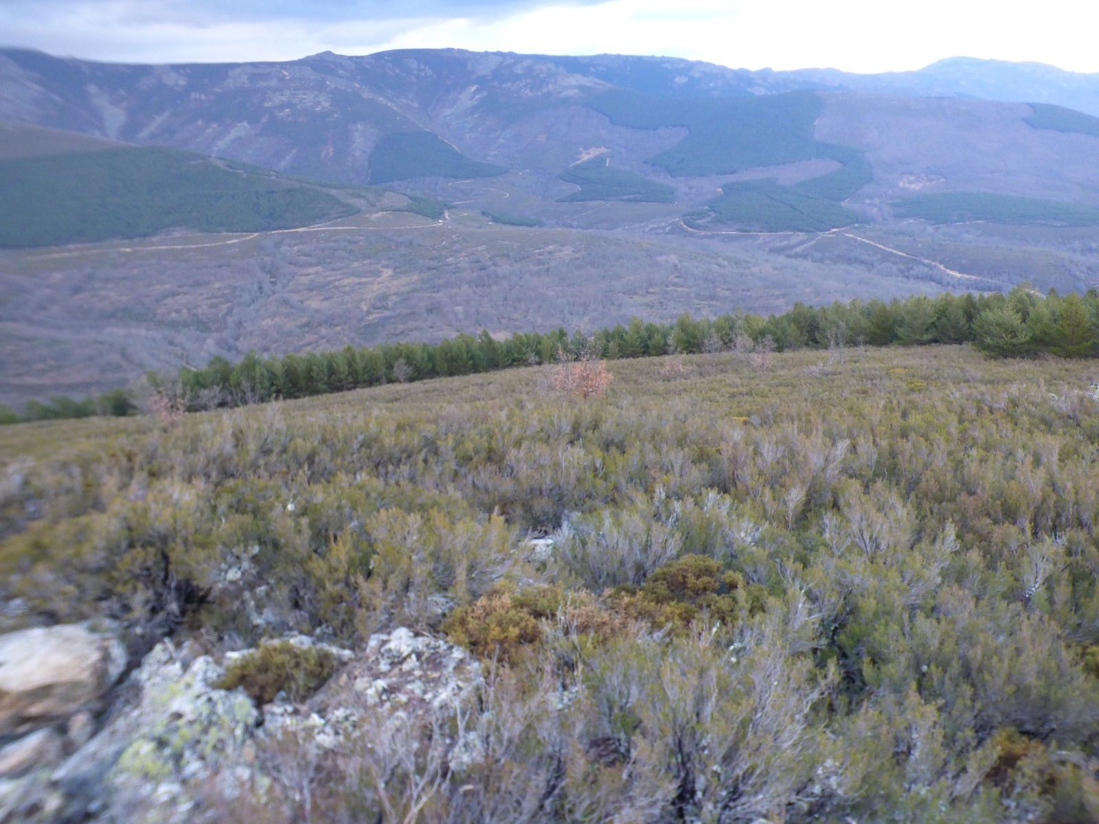 13 molinos de 220 metros en La Carballeda y Sanabria “Habrá graves y múltiples impactos ambientales, sociales y paisajísticos”