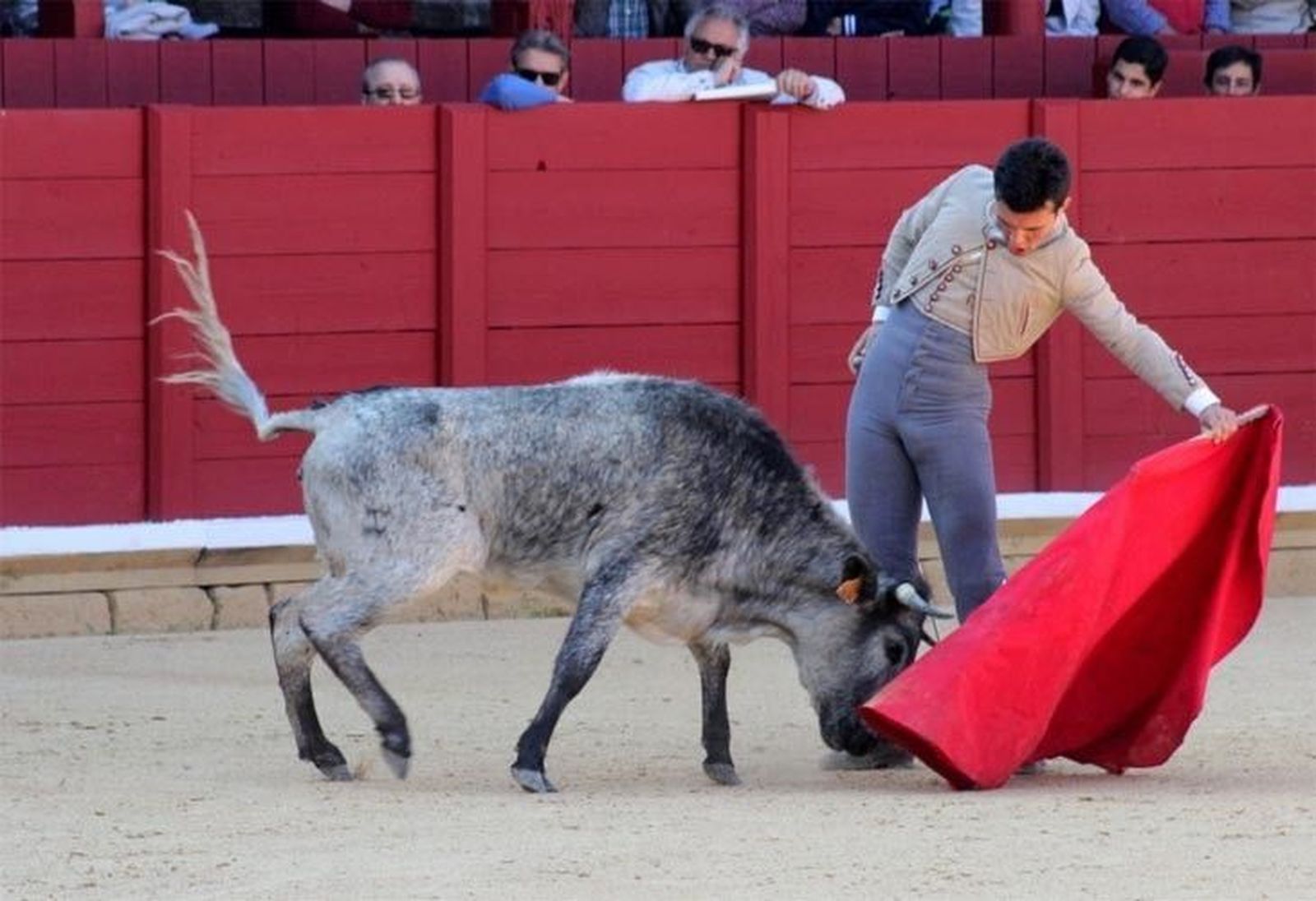 Abierto el plazo para participar en el ‘VI Bolsín Tierras de Zamora’ Abierto el plazo para participar en el ‘VI Bolsín Tierras de Zamora’