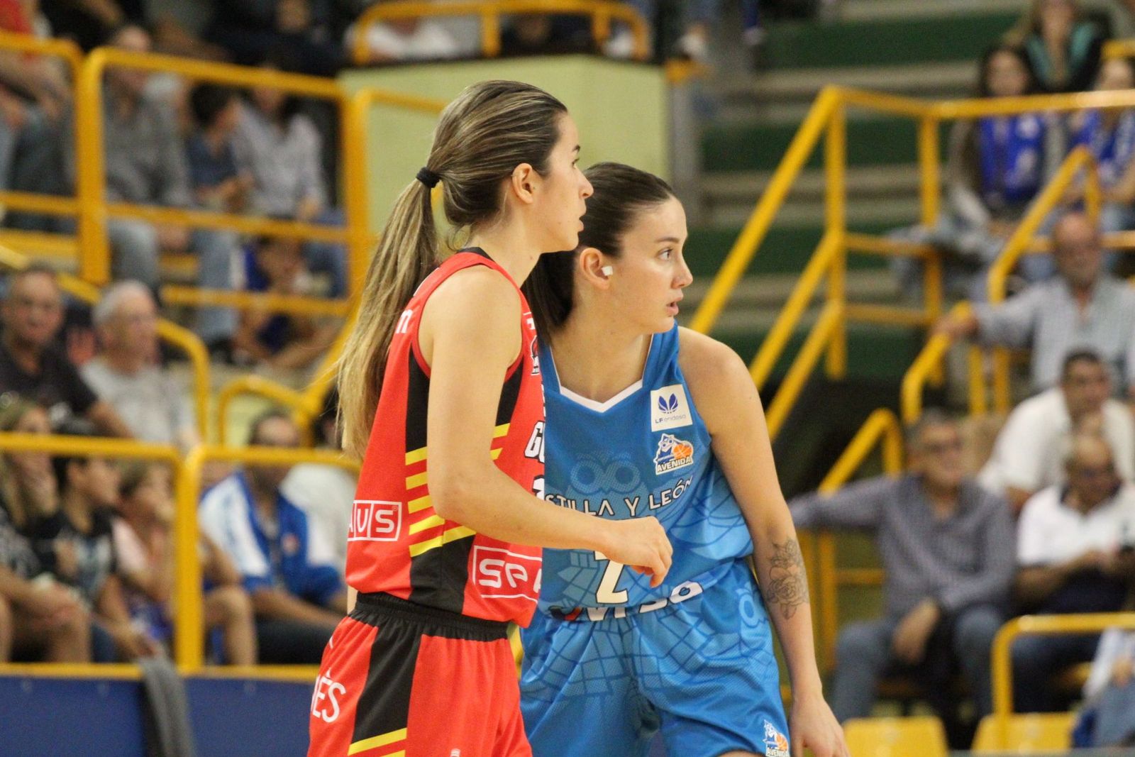 20231014190548-img-3140