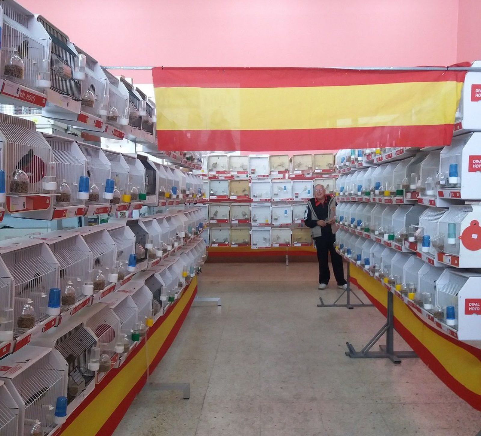 Exposición de casi mil pájaros en un concurso regional hasta el sábado