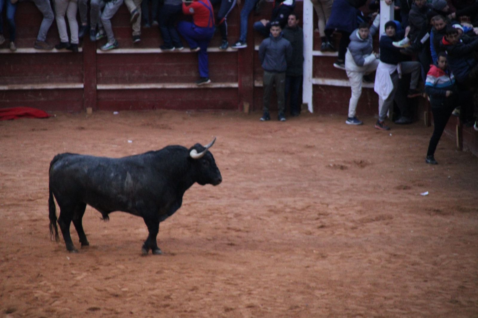 whatsapp-image-2025-03-02-at-19-32-36-3