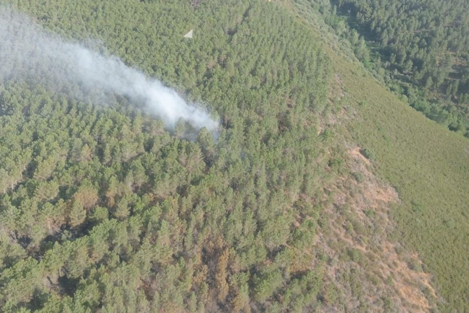Incendio muy próximo a la frontera con Zamora