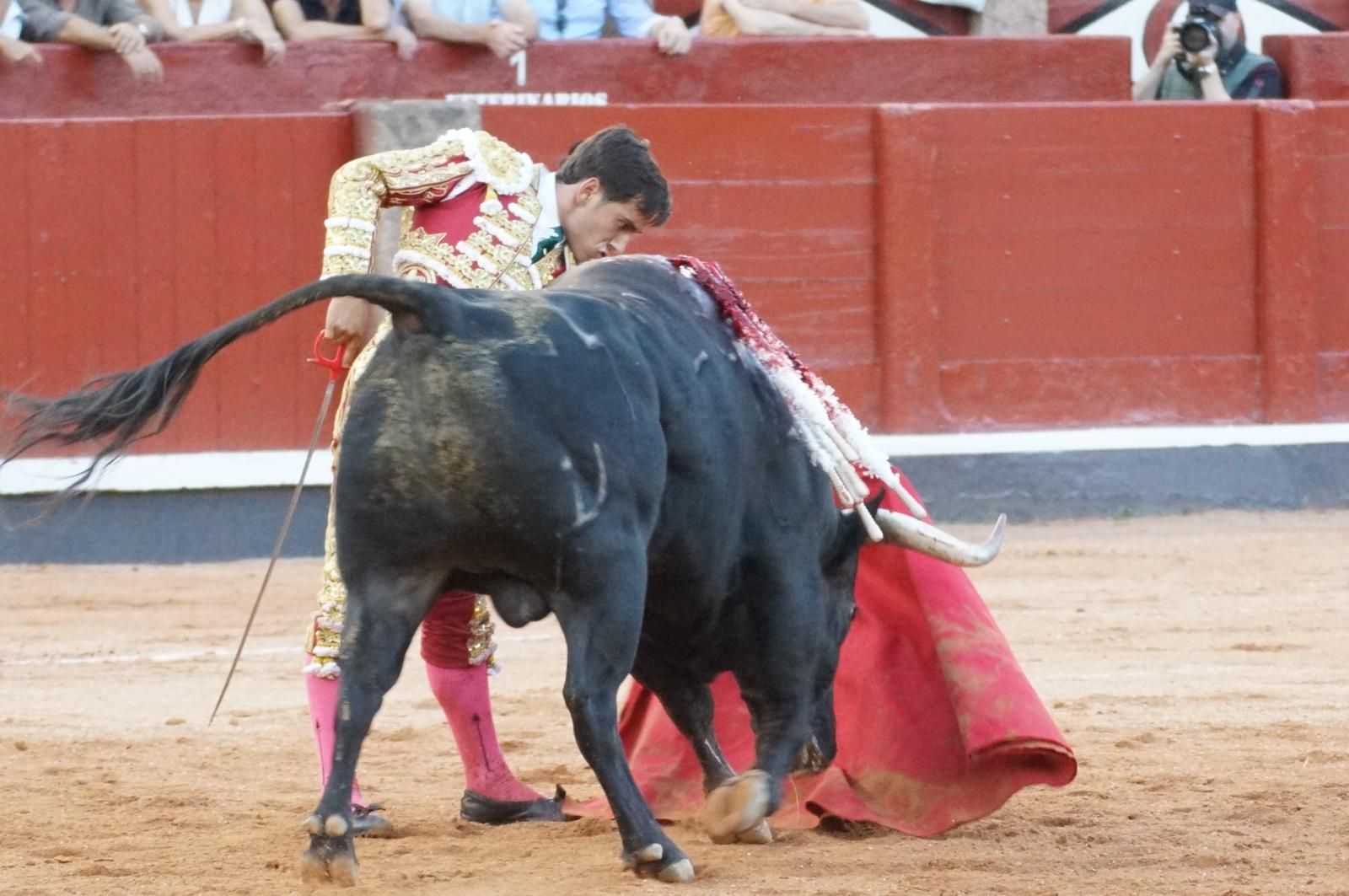 Presencia salmantina por partida doble en la primera corrida de la feria: Damián Castaño e Ismael Martín junto al mexicano Diego San Román