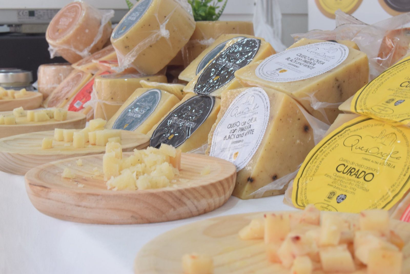 jornada-inaugural-de-fromago-117