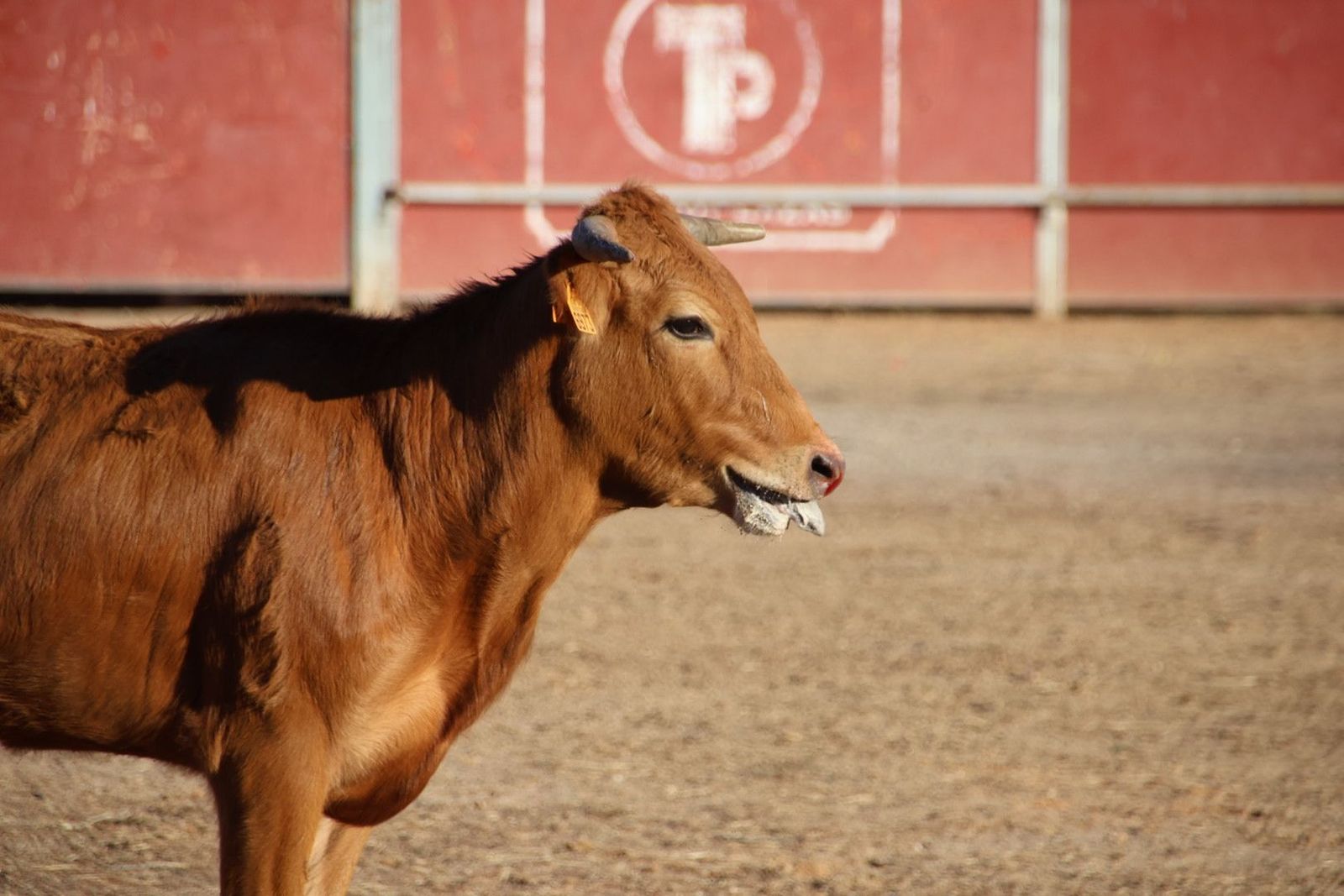 20240816190254-img-4004