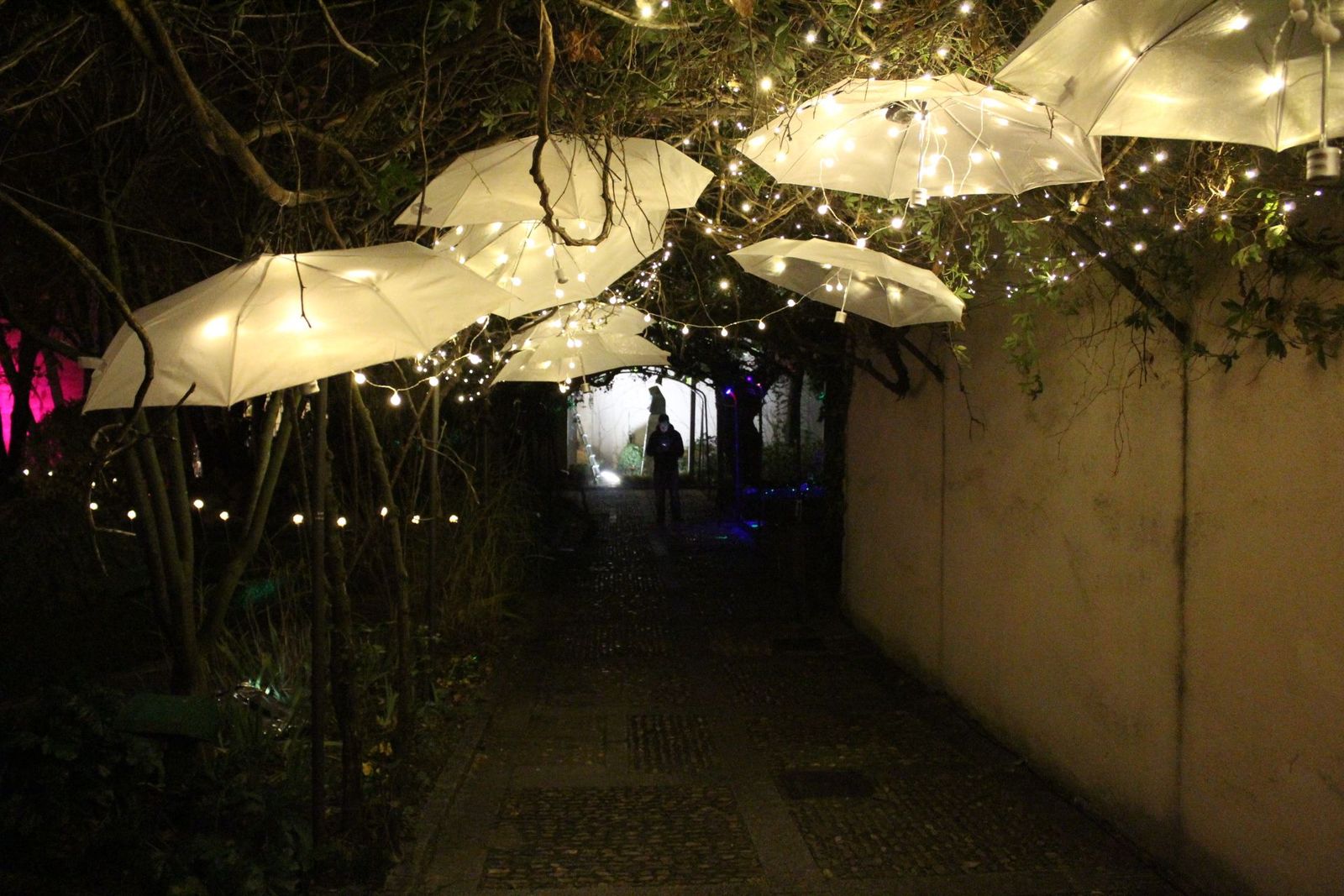 20231204213613-img-6441