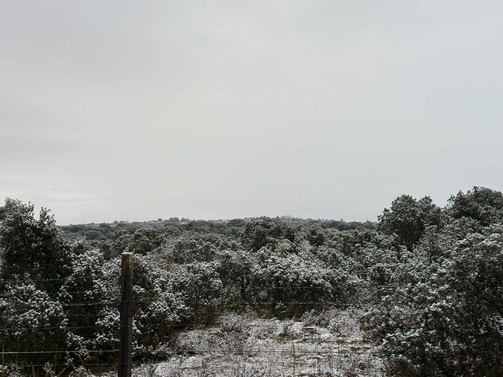 nieve-en-monterrubio-y-cuatro-calzadas-7