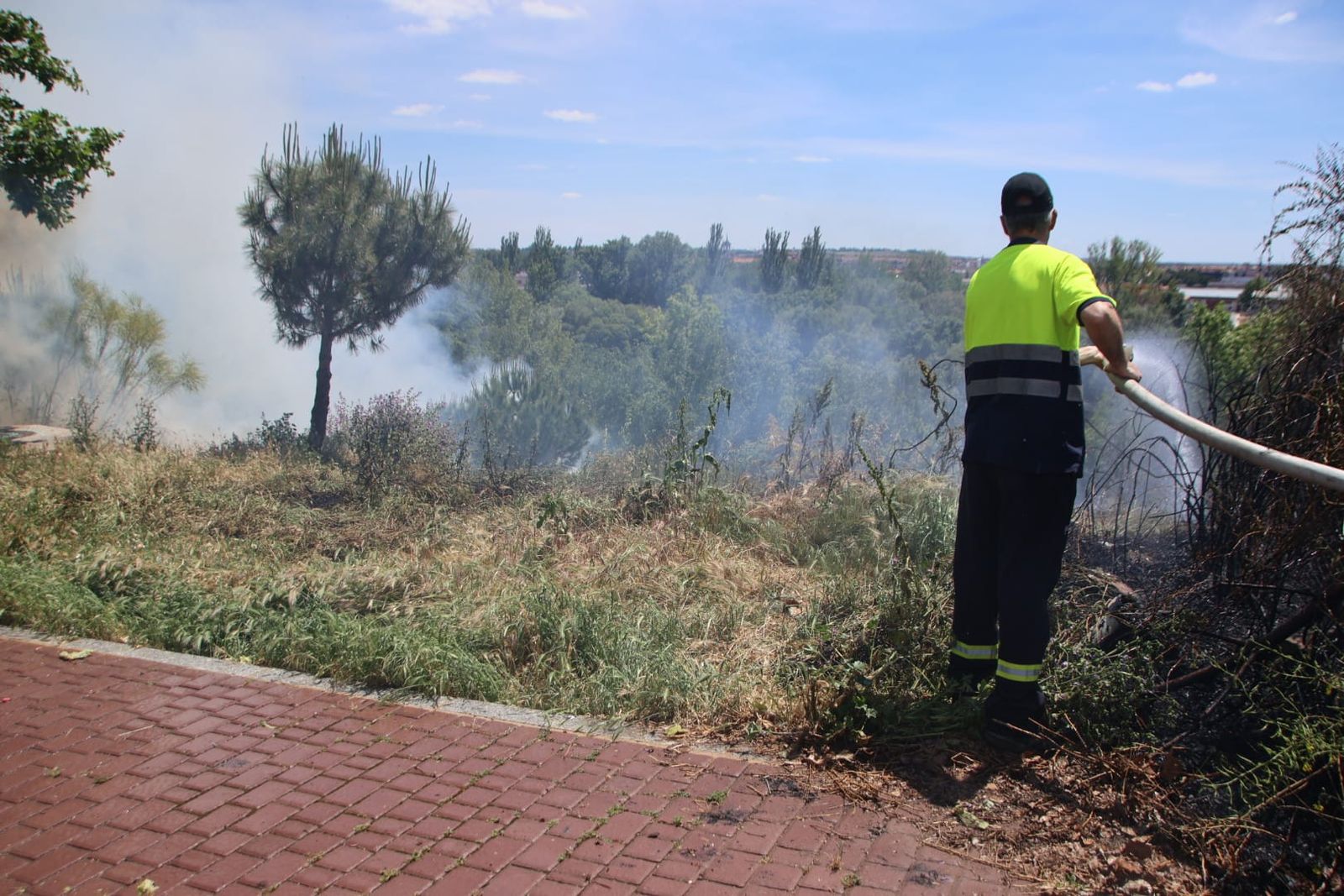 Incendio de pasto en los entornos de la avenida de La Aldehuela